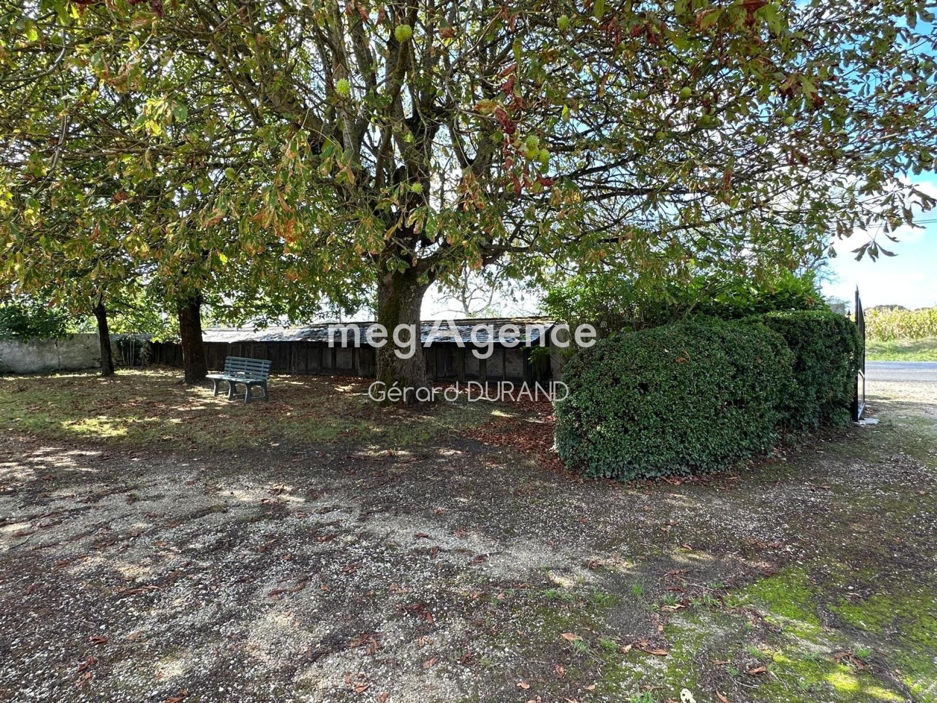 Miniature photo - 12 / 13