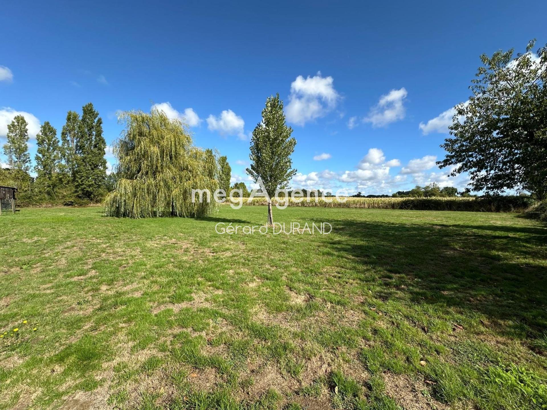 Miniature photo - 10 / 13