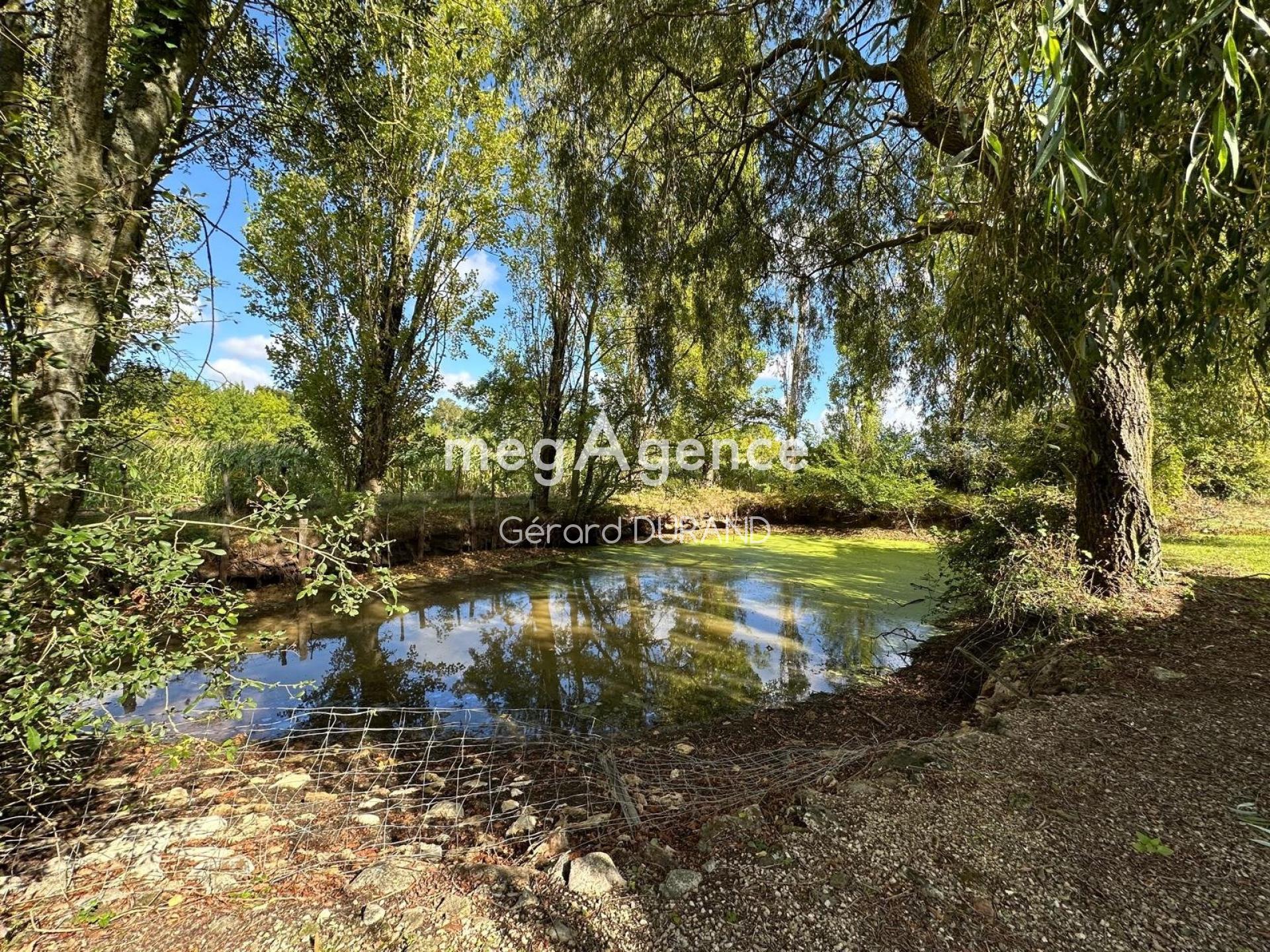 Miniature photo - 2 / 13