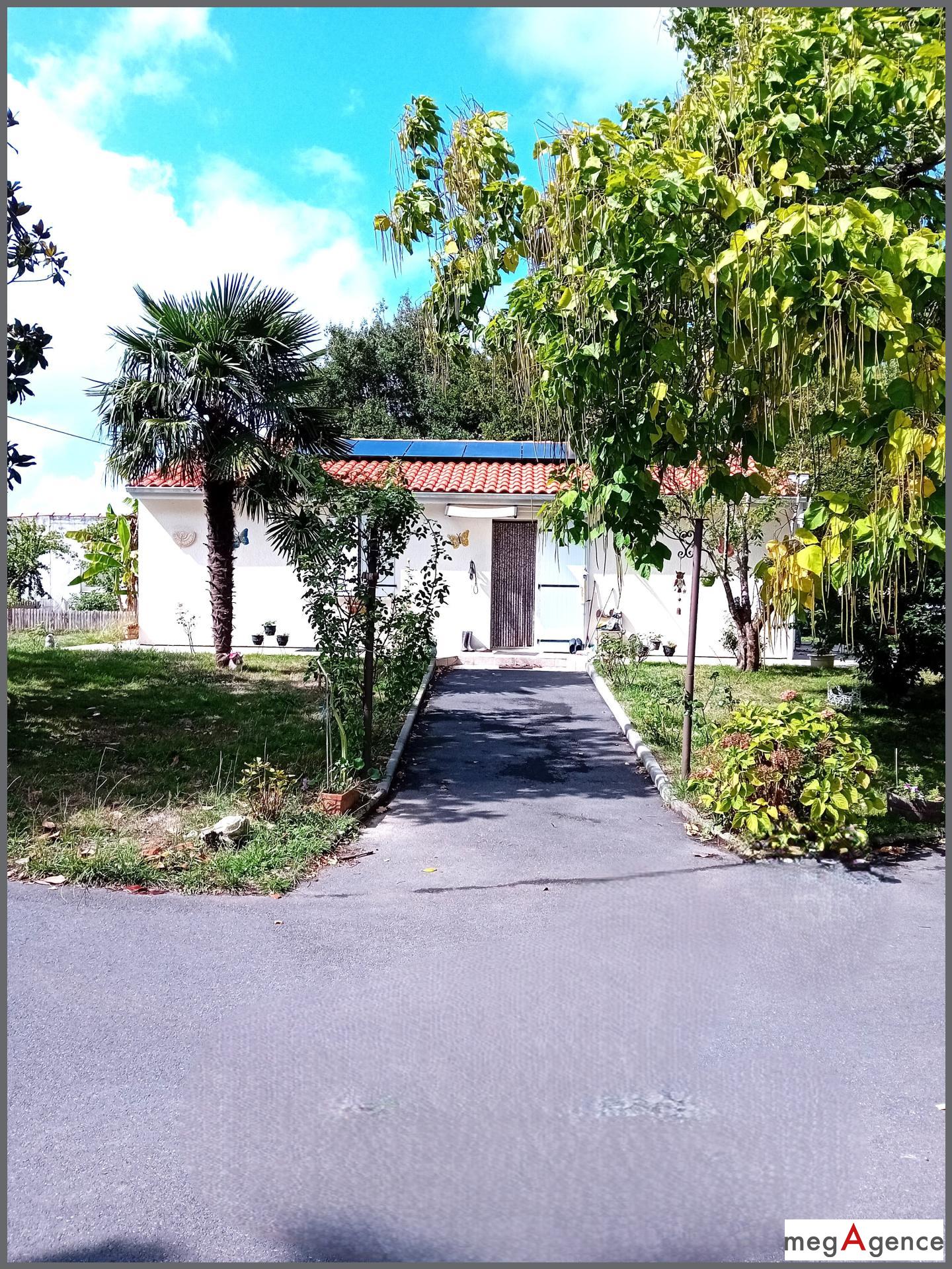 Miniature photo - 14 / 16