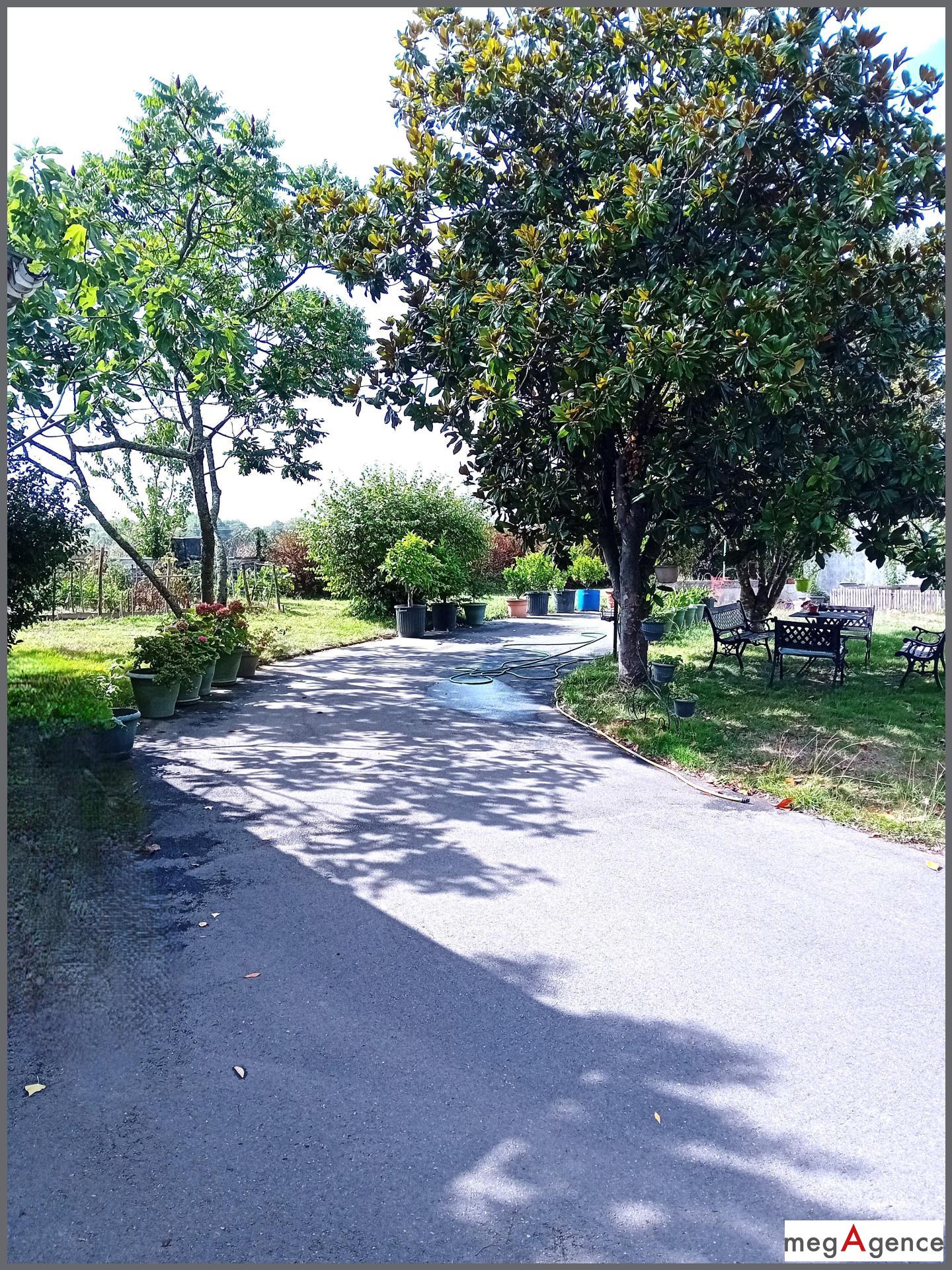 Miniature photo - 15 / 16