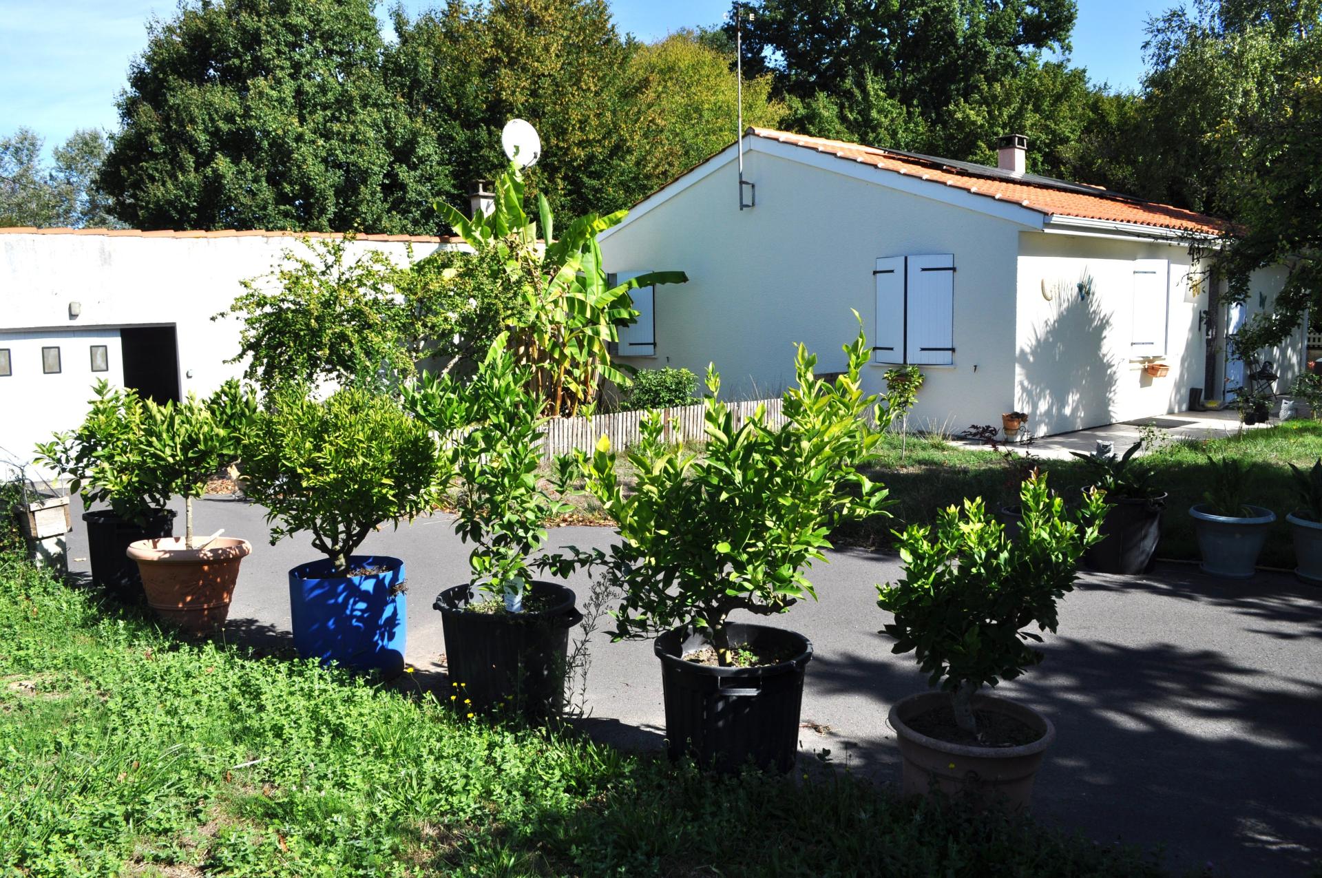 Miniature photo - 16 / 16