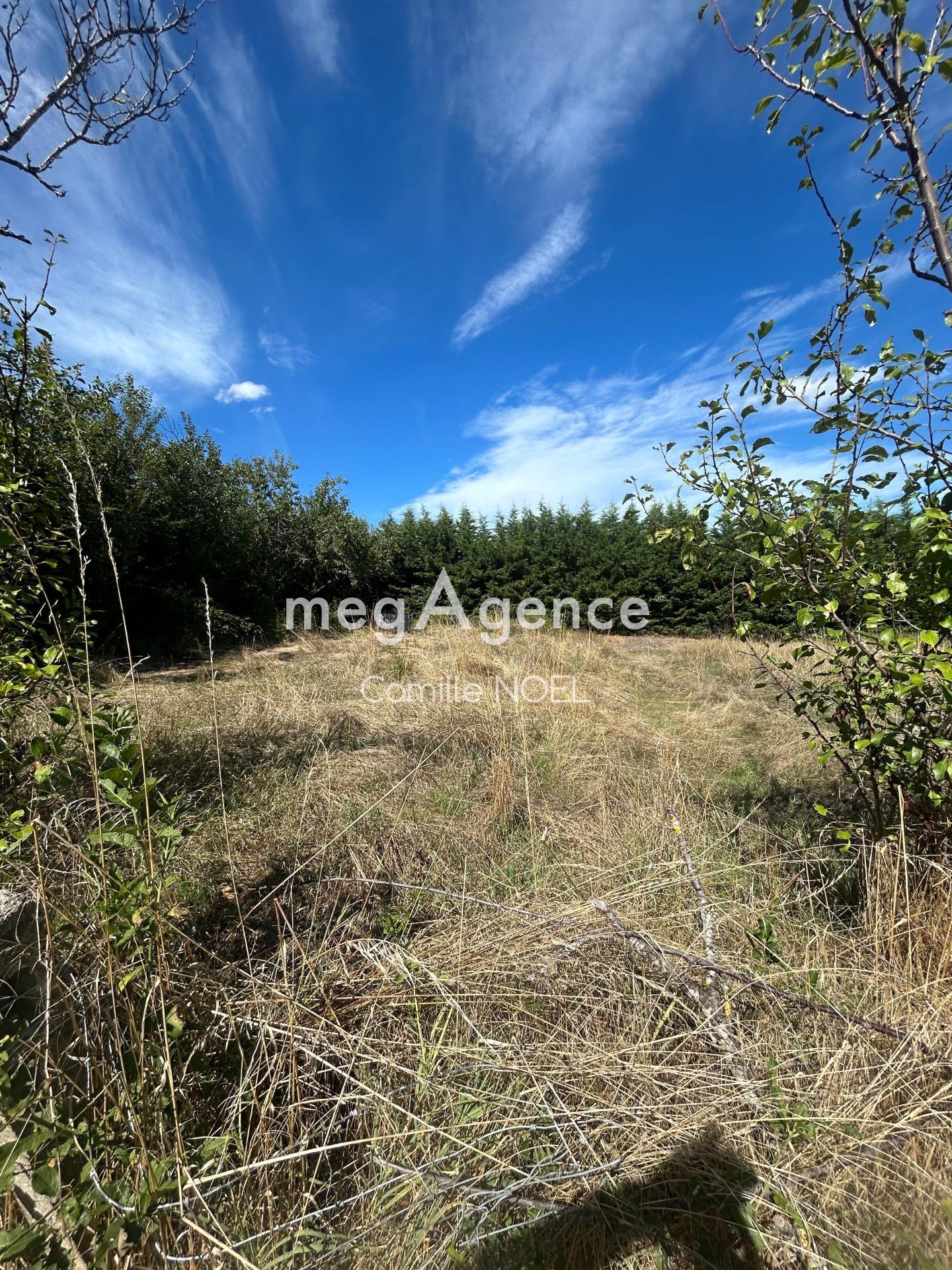 Miniature photo - 4 / 4
