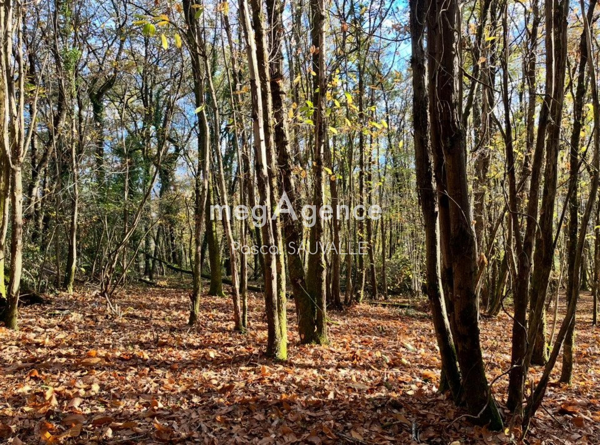 Photographie descriptive du bien