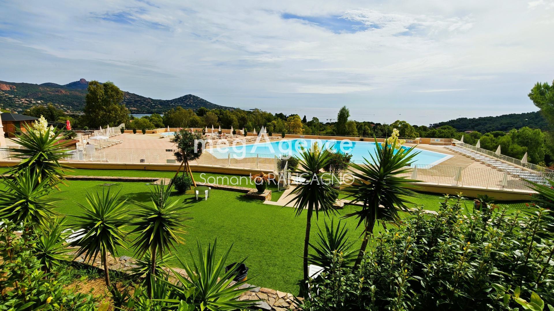 Miniature photo - 13 / 13