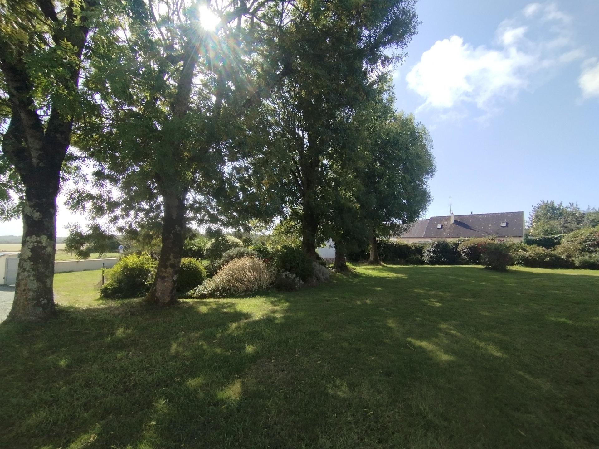 Miniature photo - 6 / 16