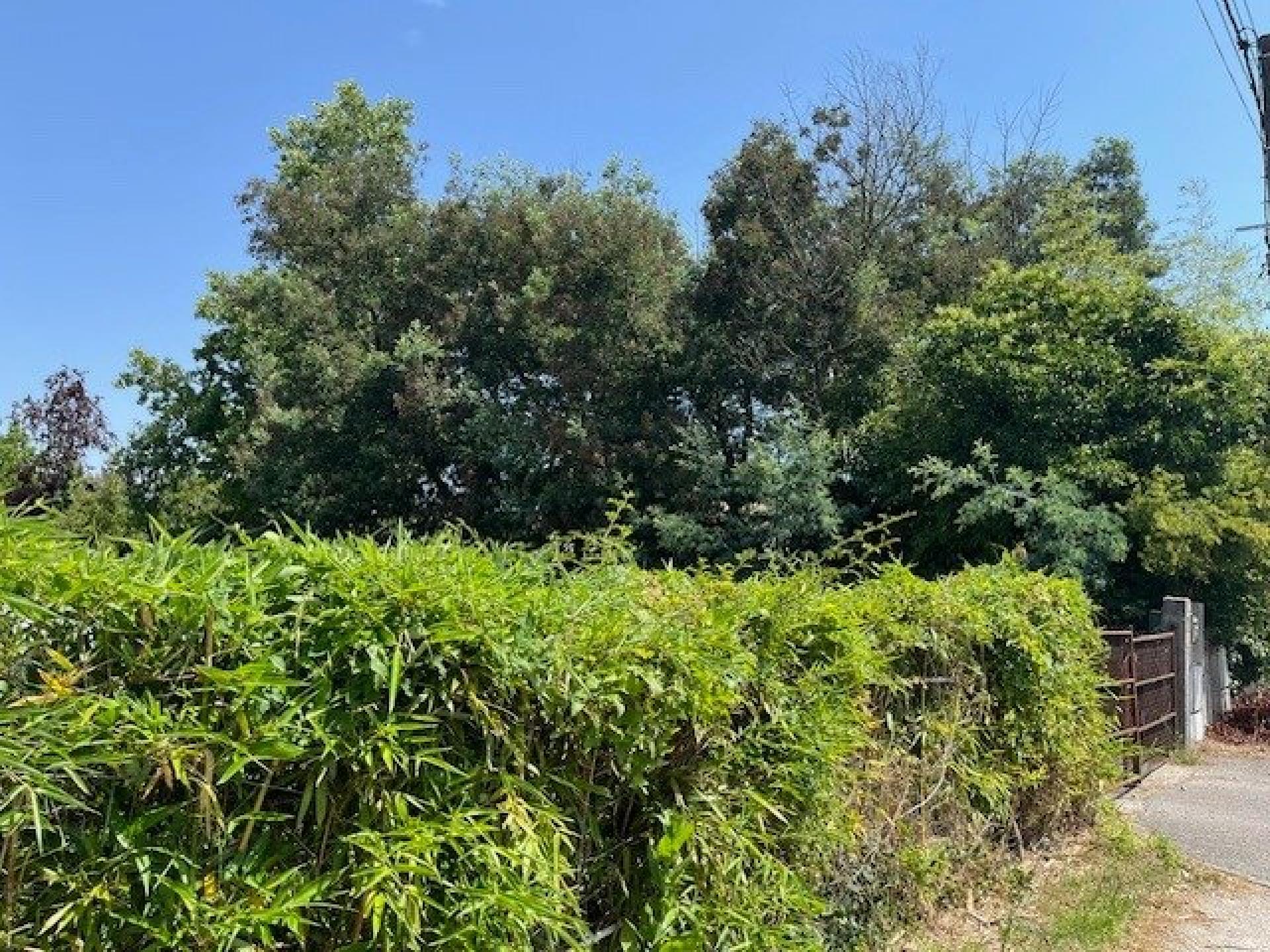 Photographie descriptive du bien