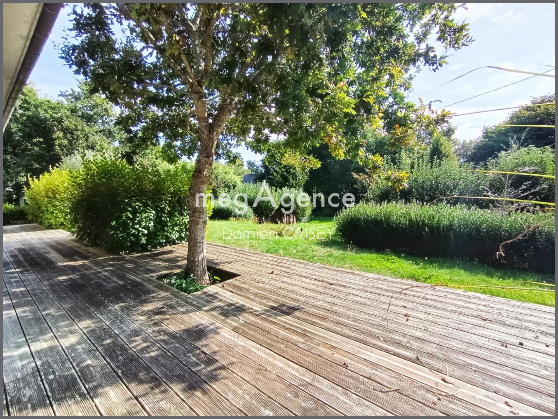 Miniature photo - 10 / 12