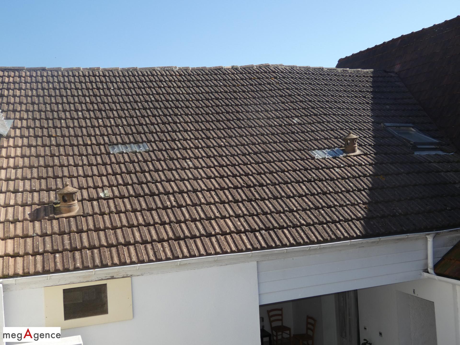 Miniature photo - 8 / 8