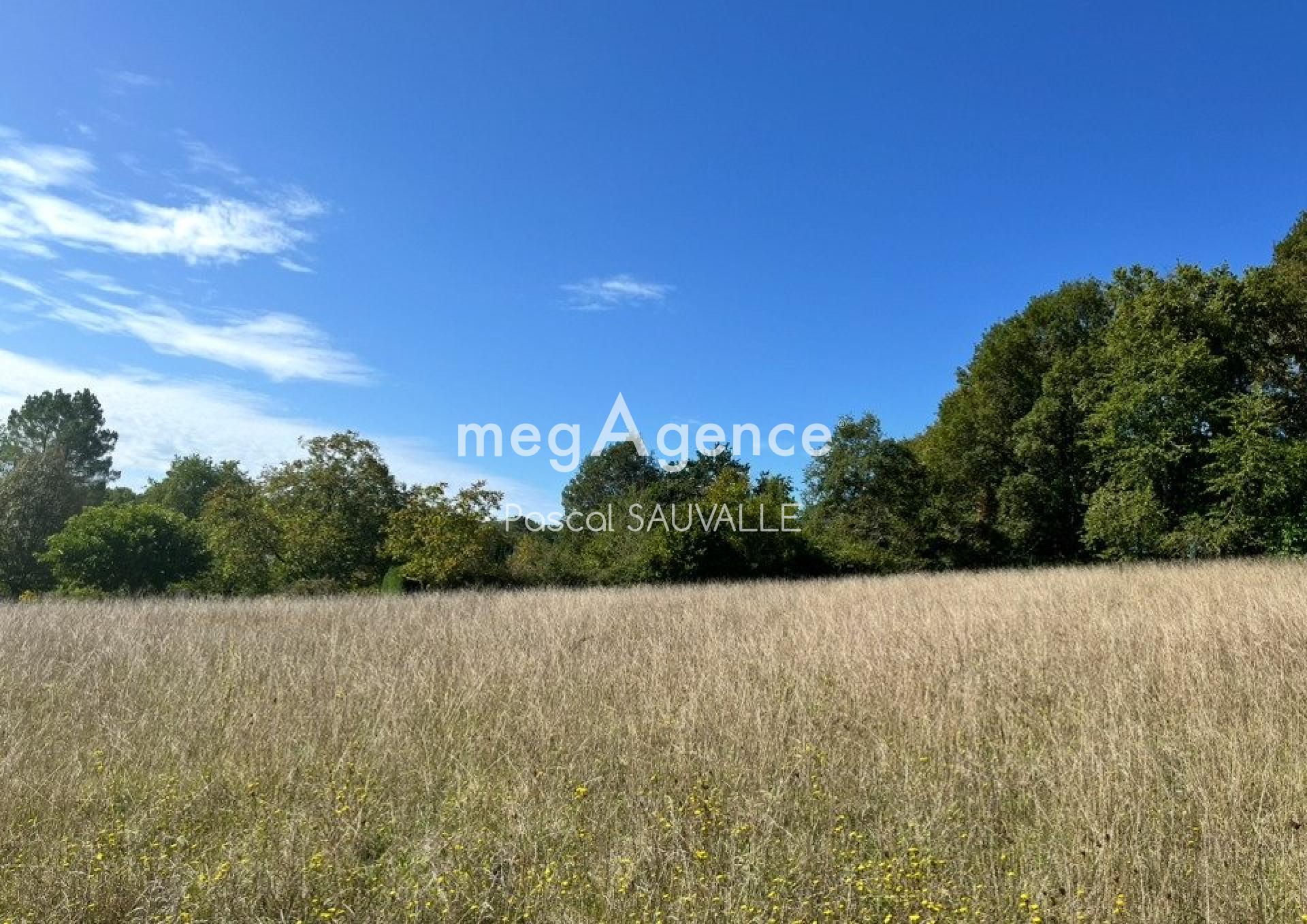 Miniature photo - 2 / 2