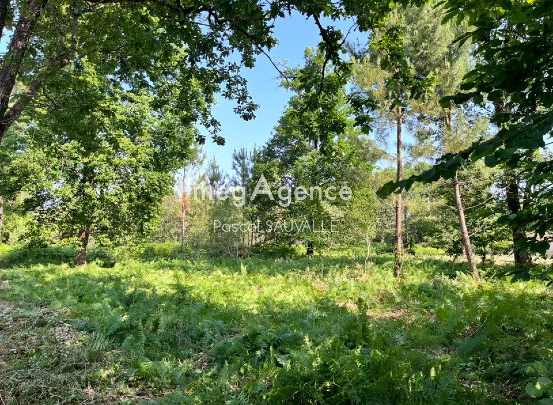 Photographie descriptive du bien