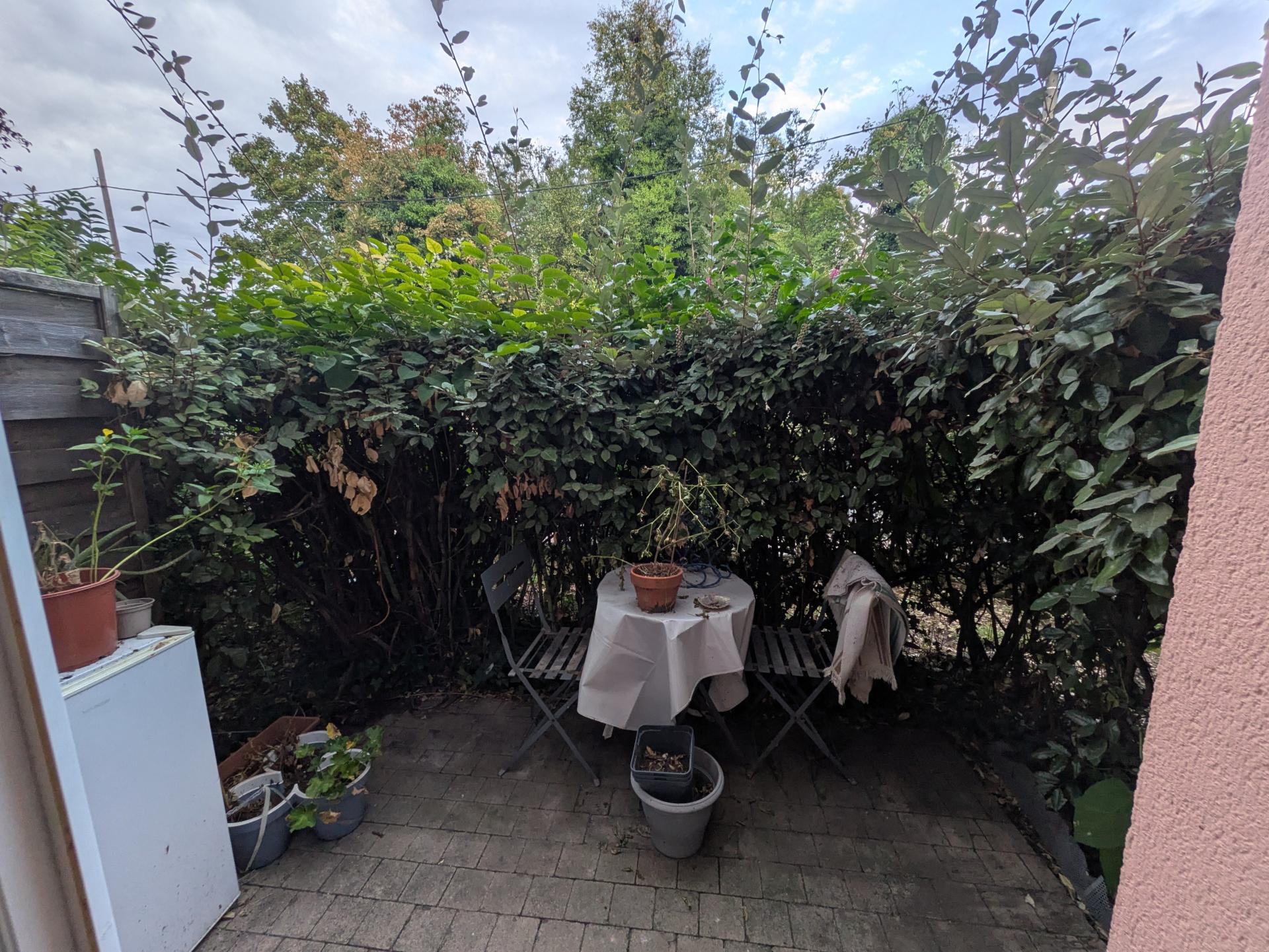 Miniature photo - 5 / 5