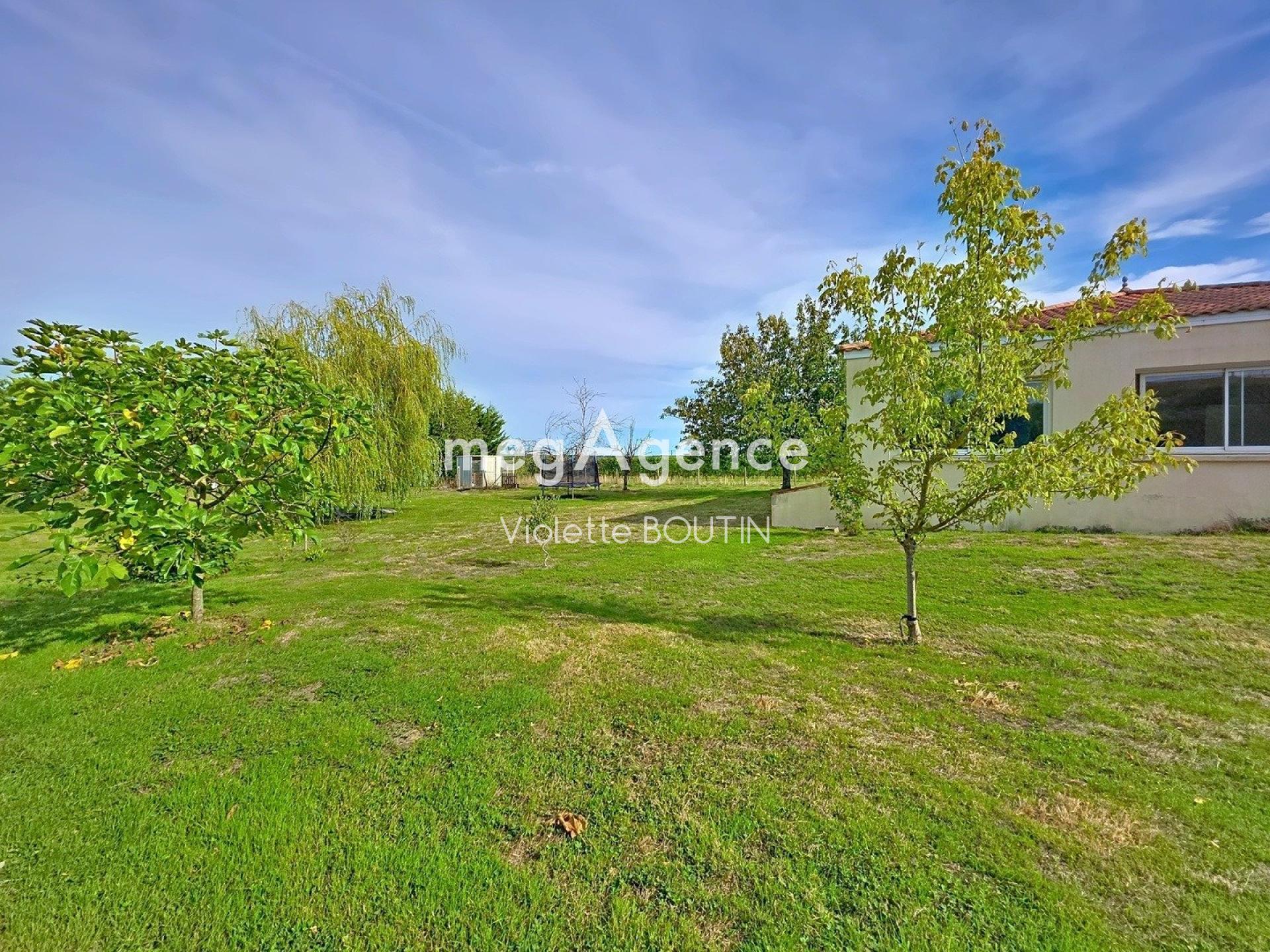 Miniature photo - 16 / 16