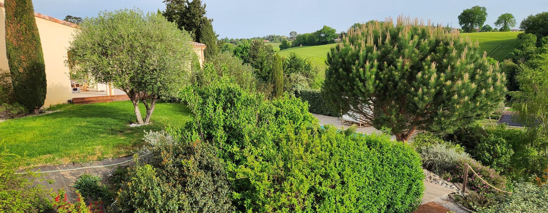 Miniature photo - 5 / 6