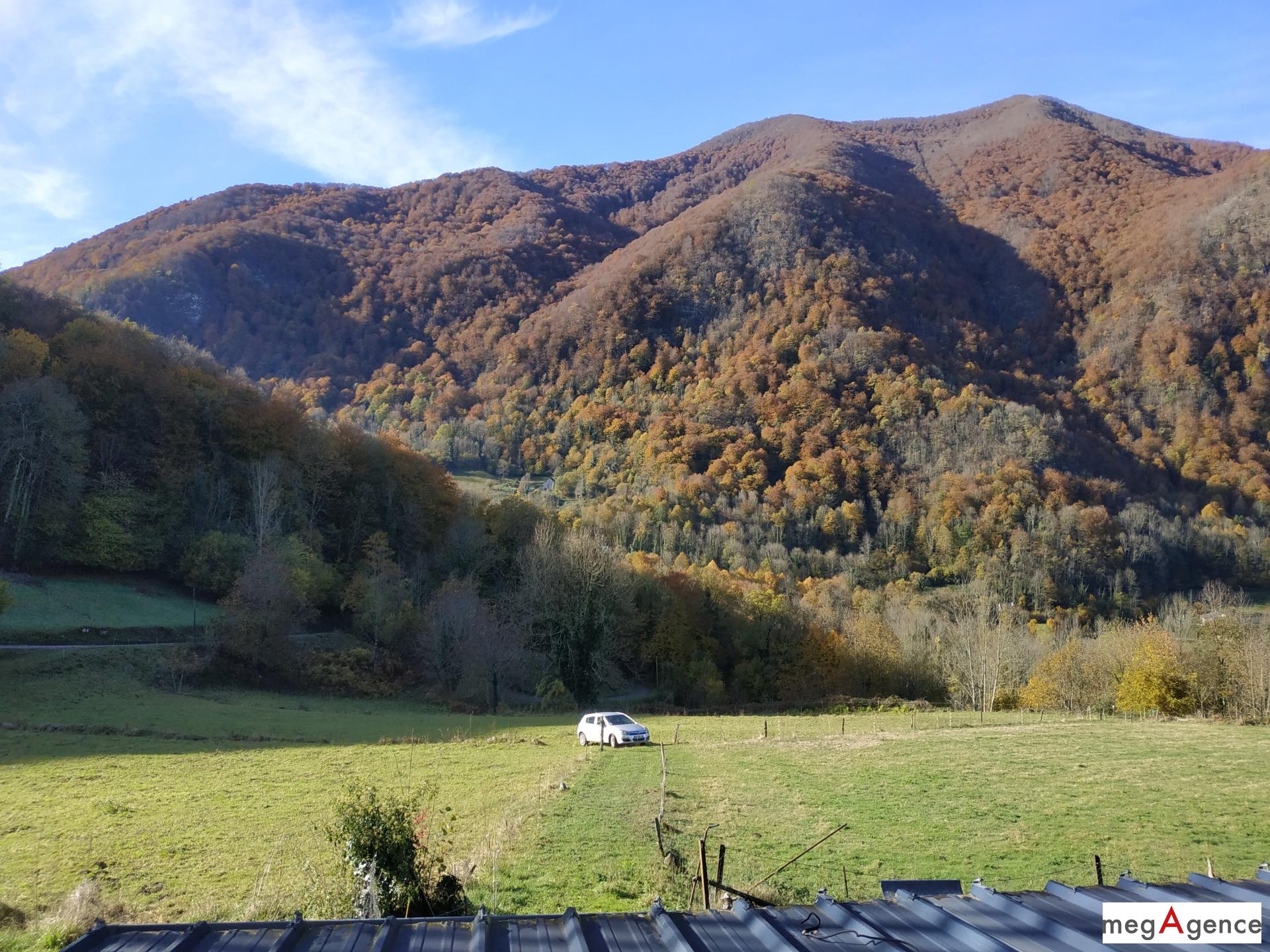 Miniature photo - 4 / 11