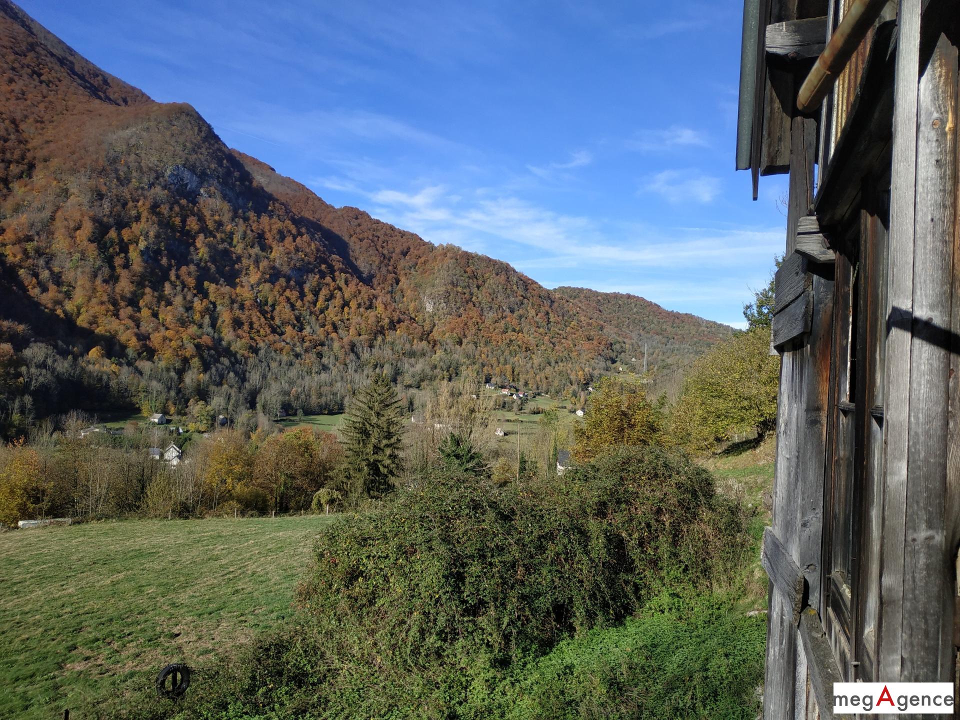 Miniature photo - 3 / 11