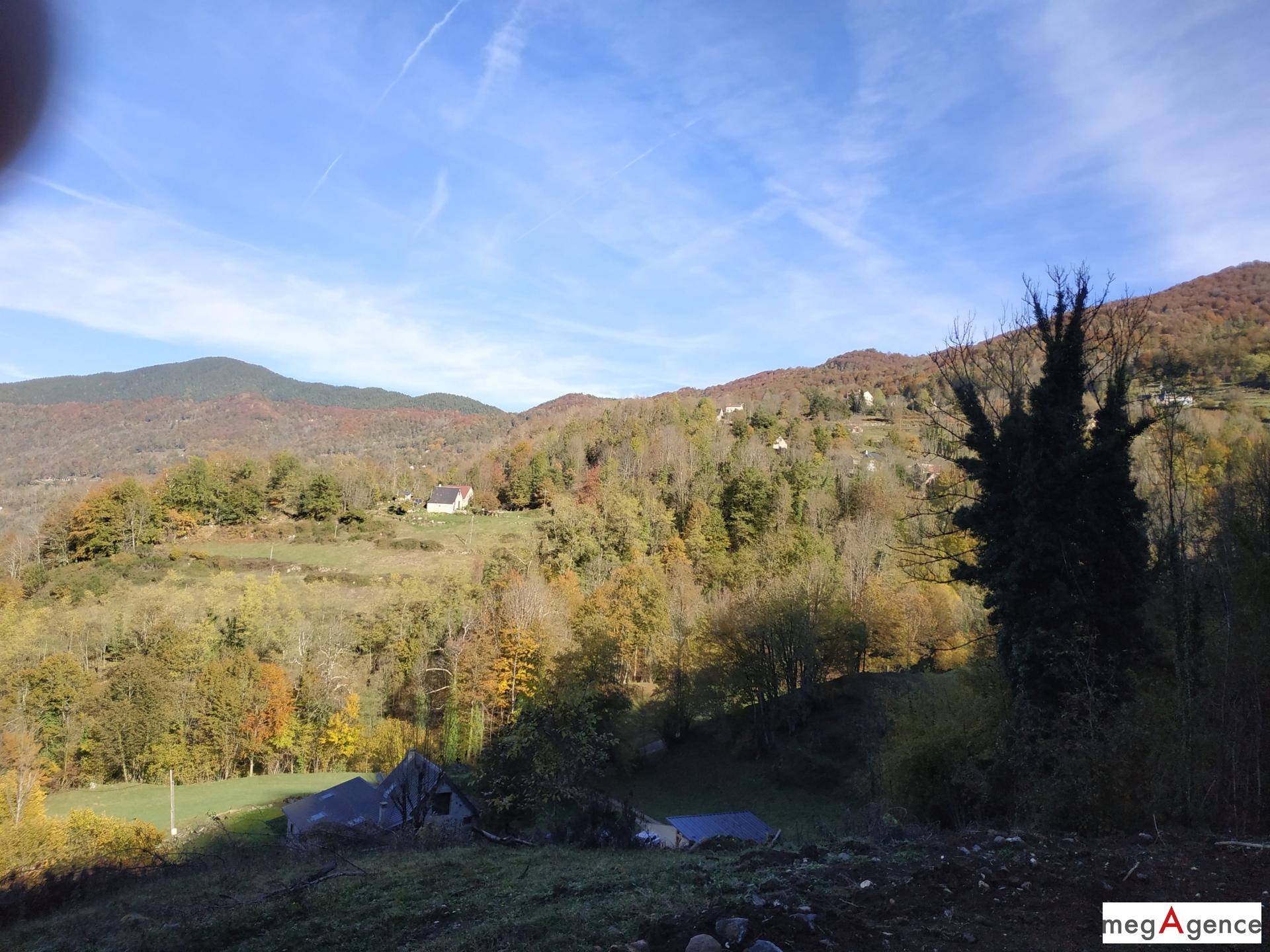 Miniature photo - 11 / 11