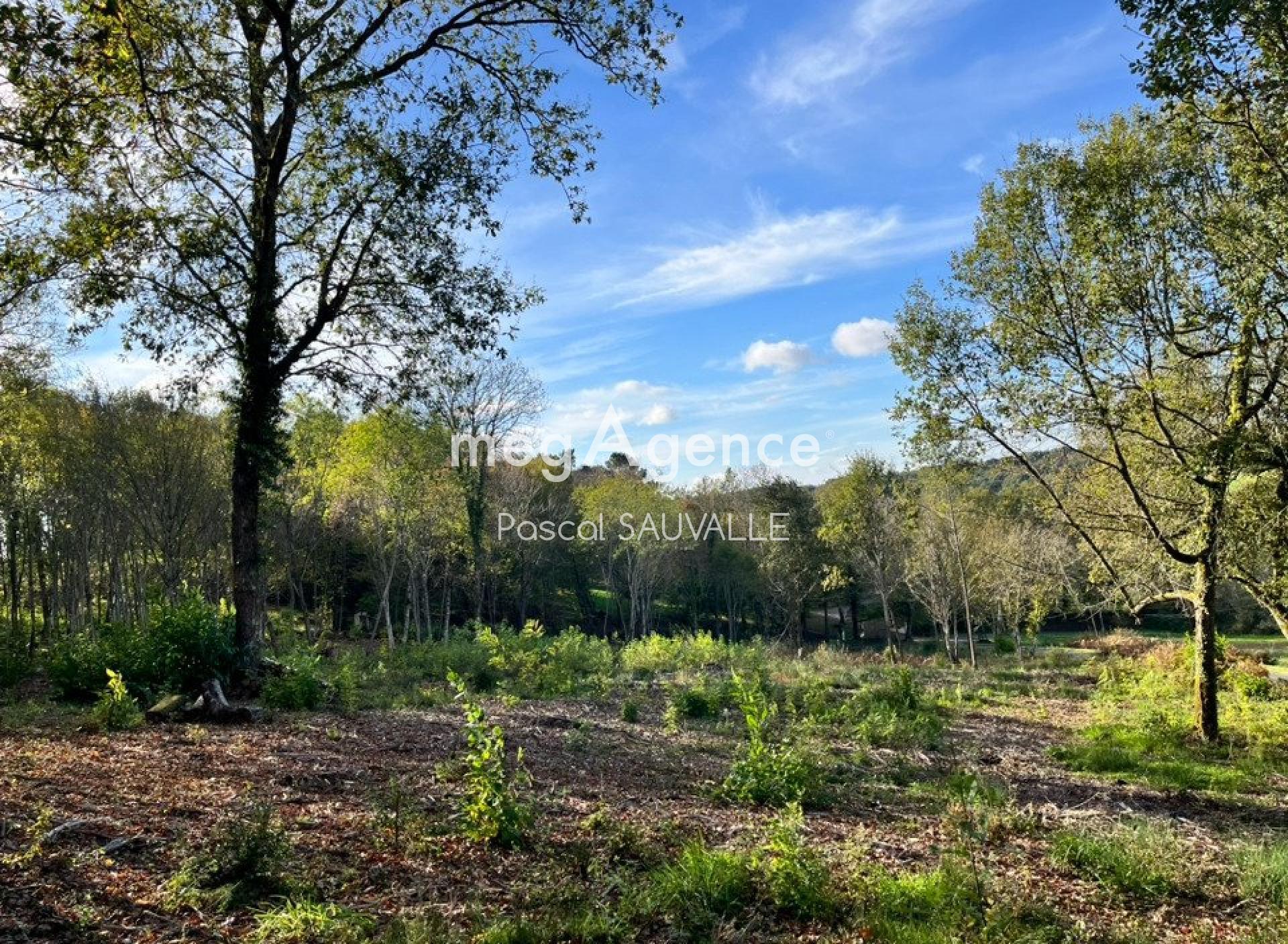 Miniature photo - 2 / 2