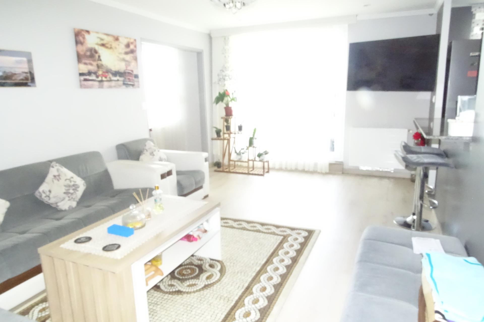 Miniature photo - 4 / 5