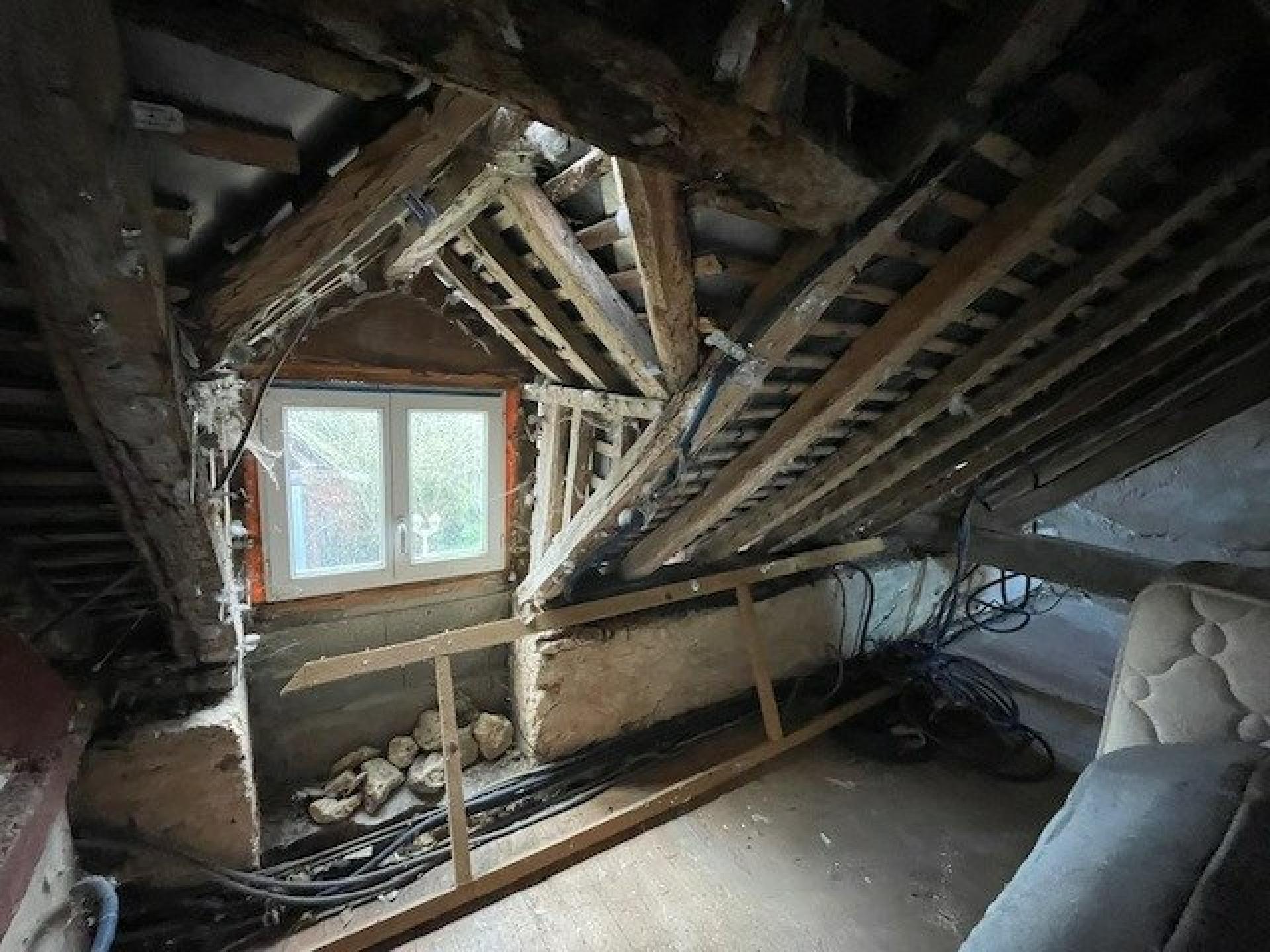 Miniature photo - 11 / 11