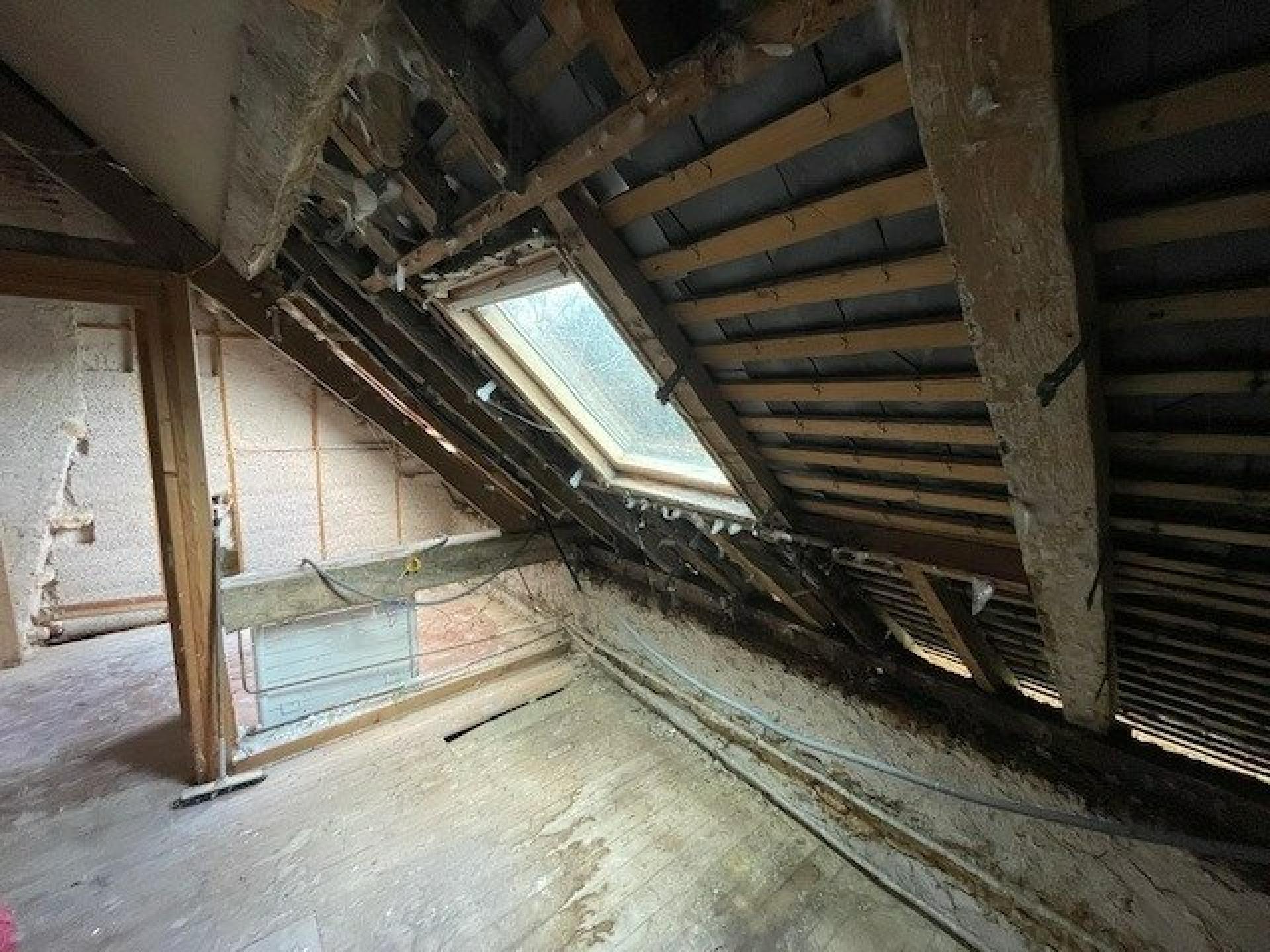 Miniature photo - 10 / 11