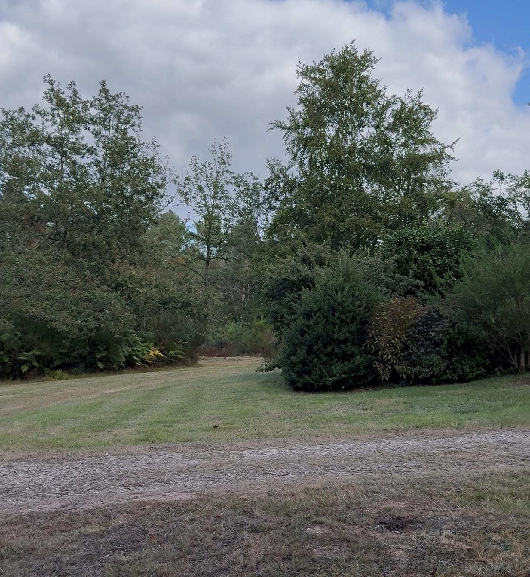 Photographie descriptive du bien