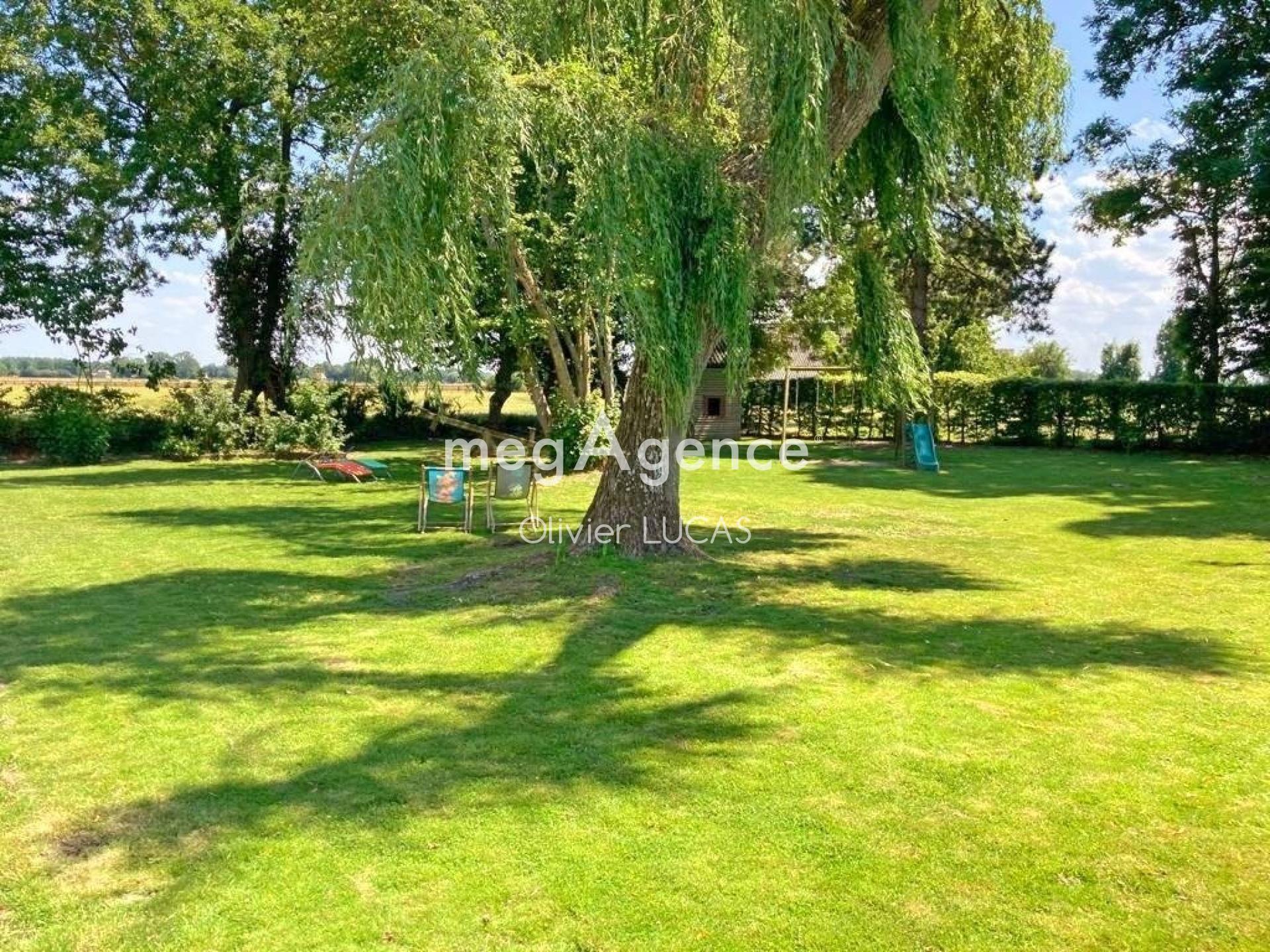 Miniature photo - 10 / 13