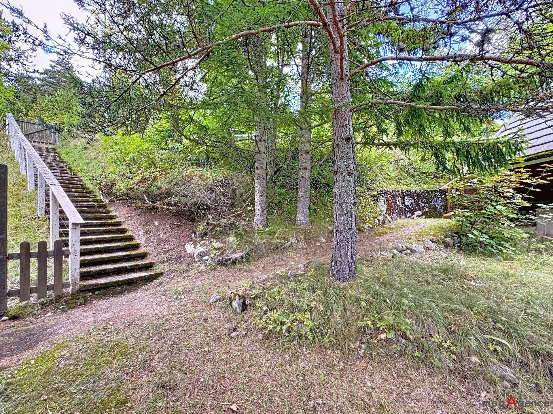 Miniature photo - 11 / 20