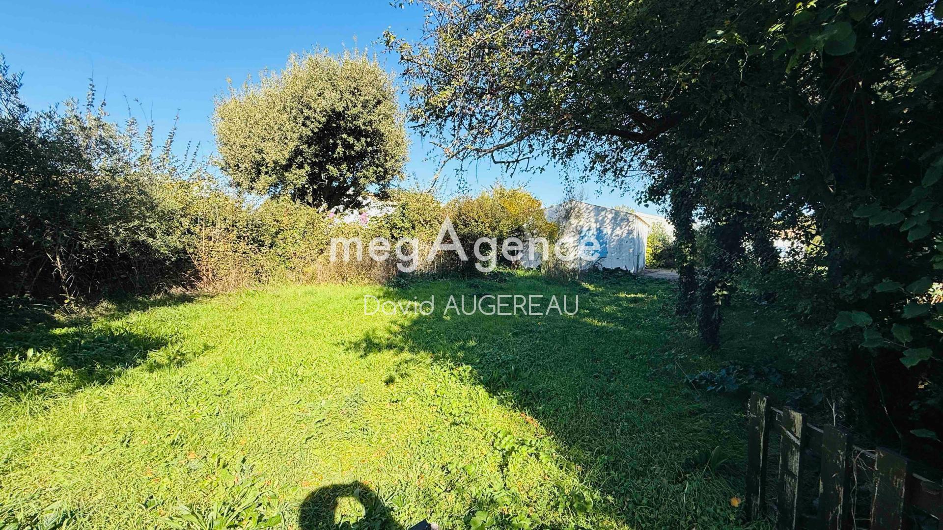 Miniature photo - 5 / 10