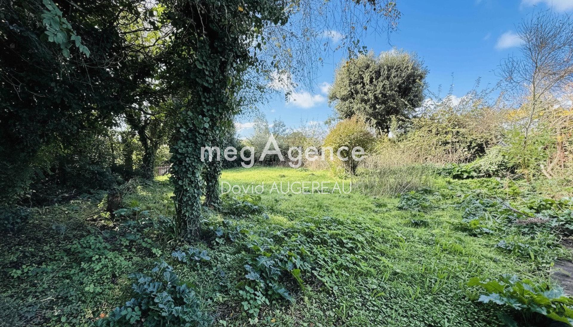 Miniature photo - 4 / 10