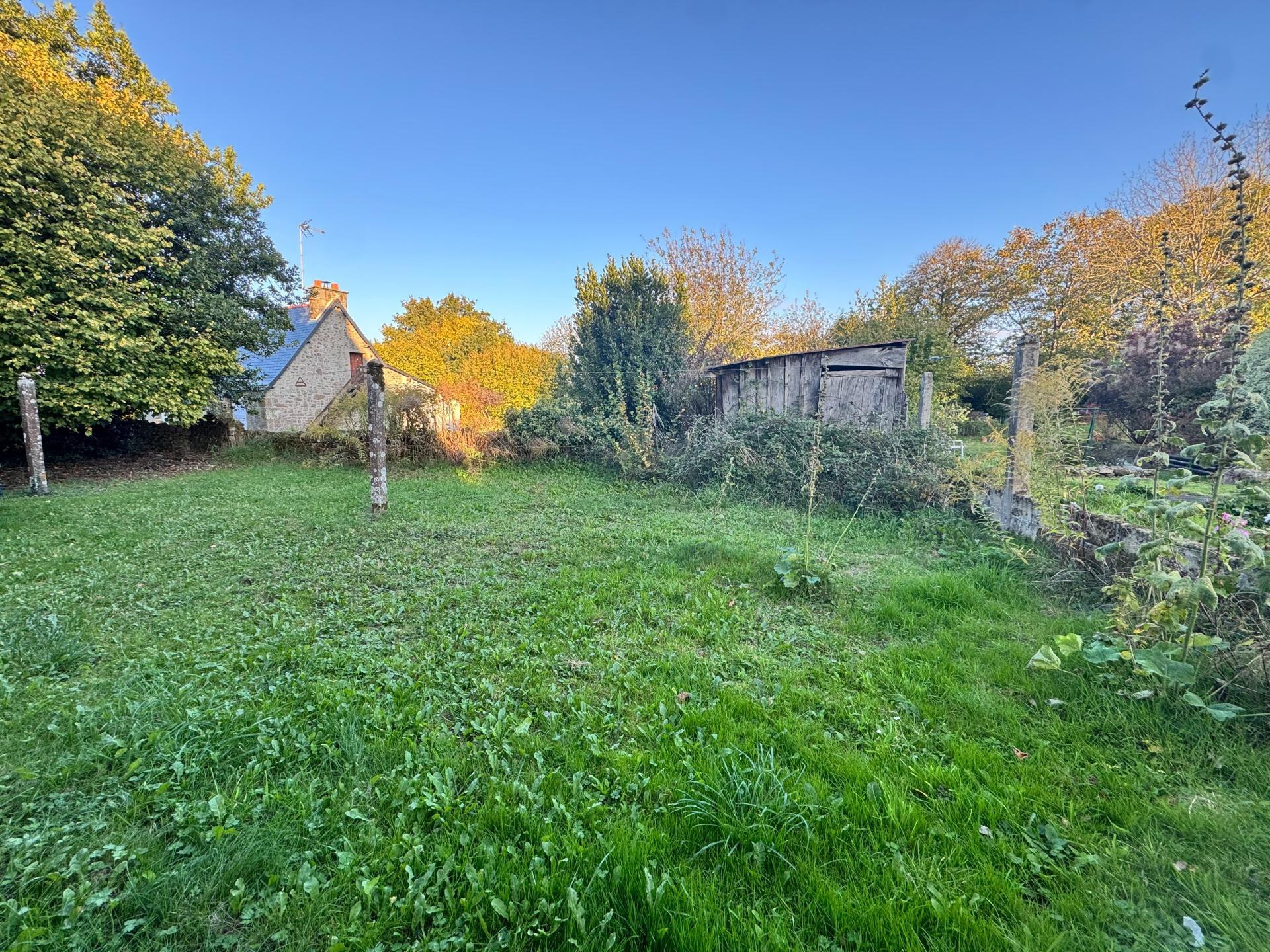 Miniature photo - 4 / 4