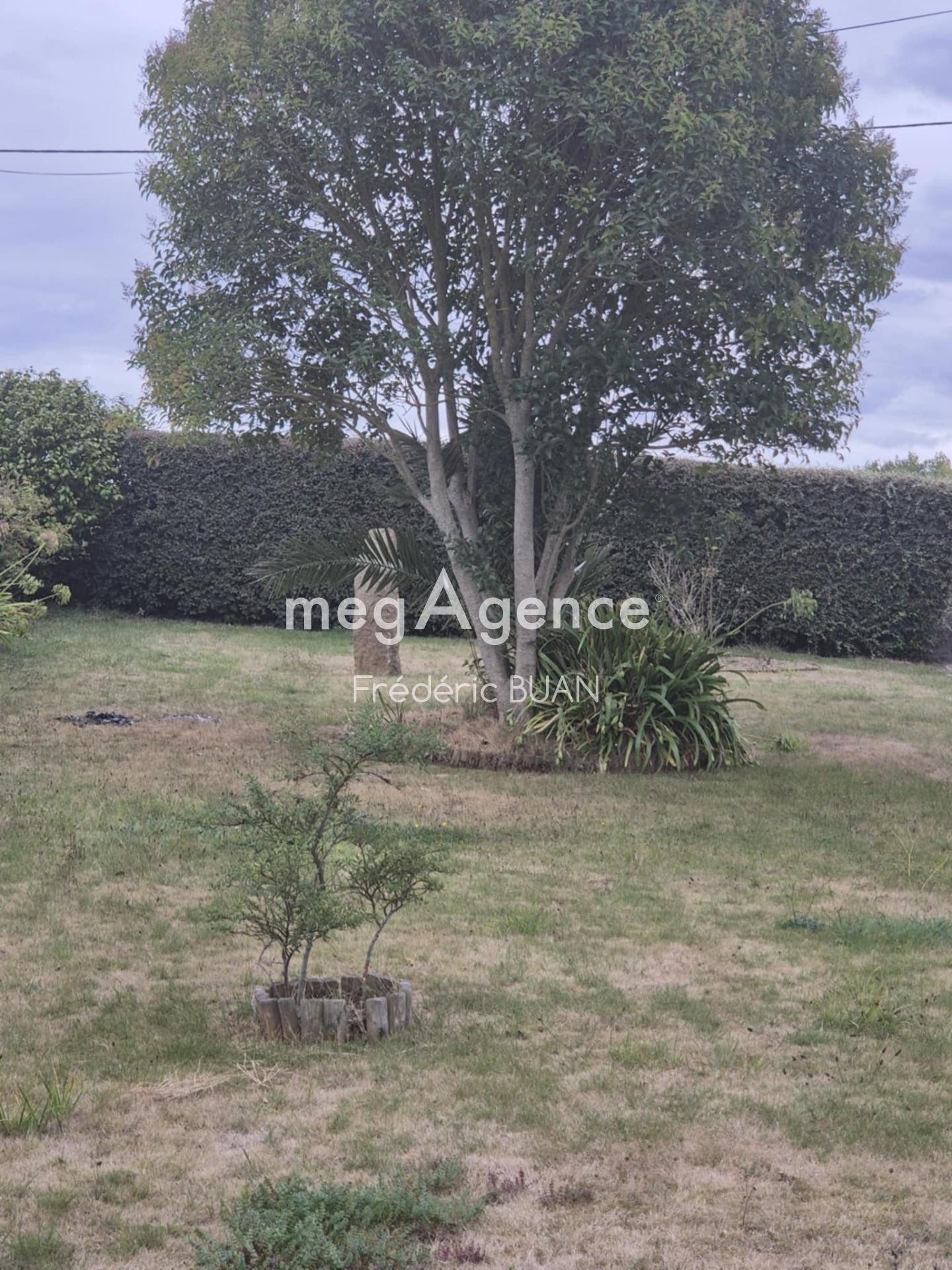 Miniature photo - 8 / 10