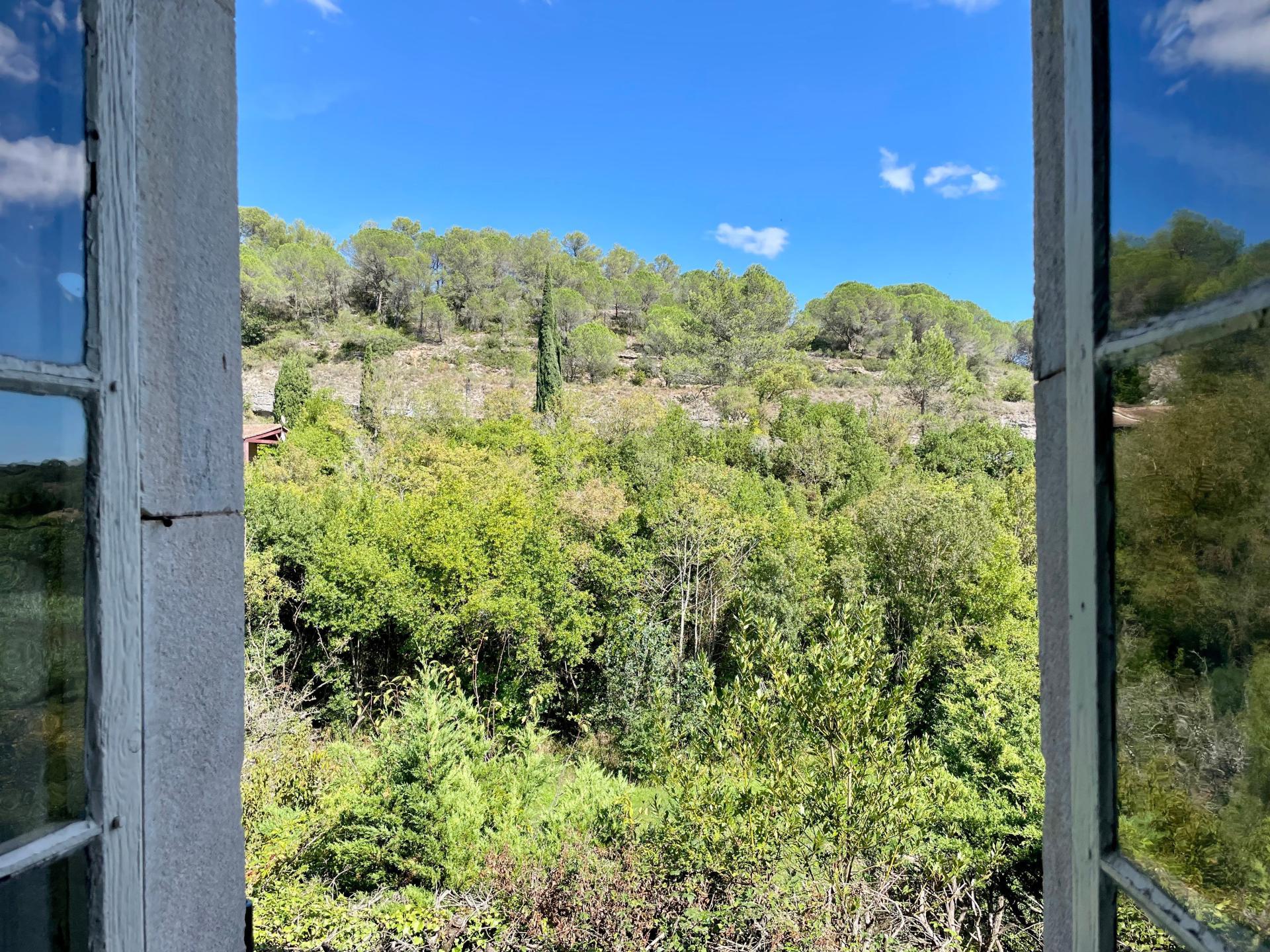 Miniature photo - 6 / 12