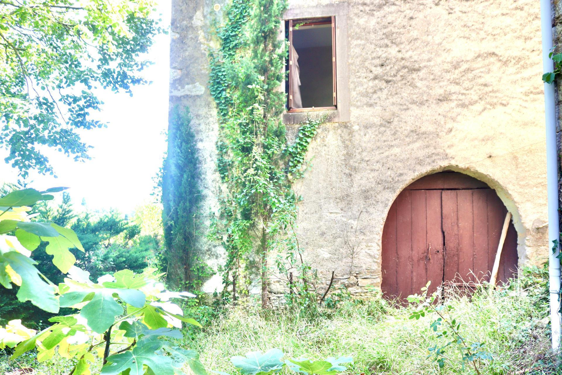 Miniature photo - 4 / 12