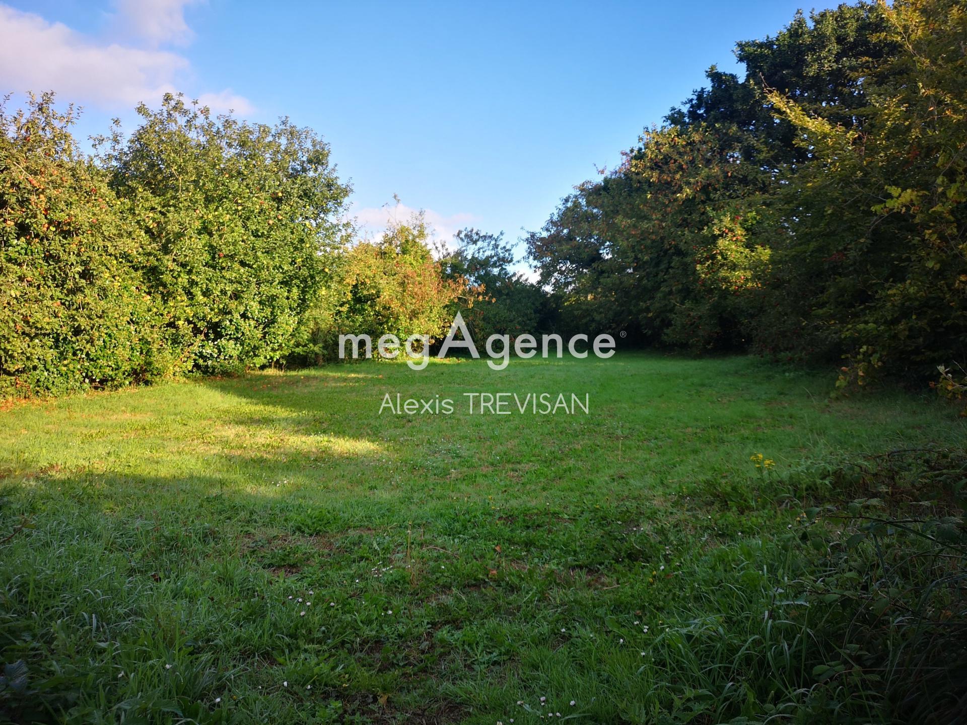 Miniature photo - 3 / 14