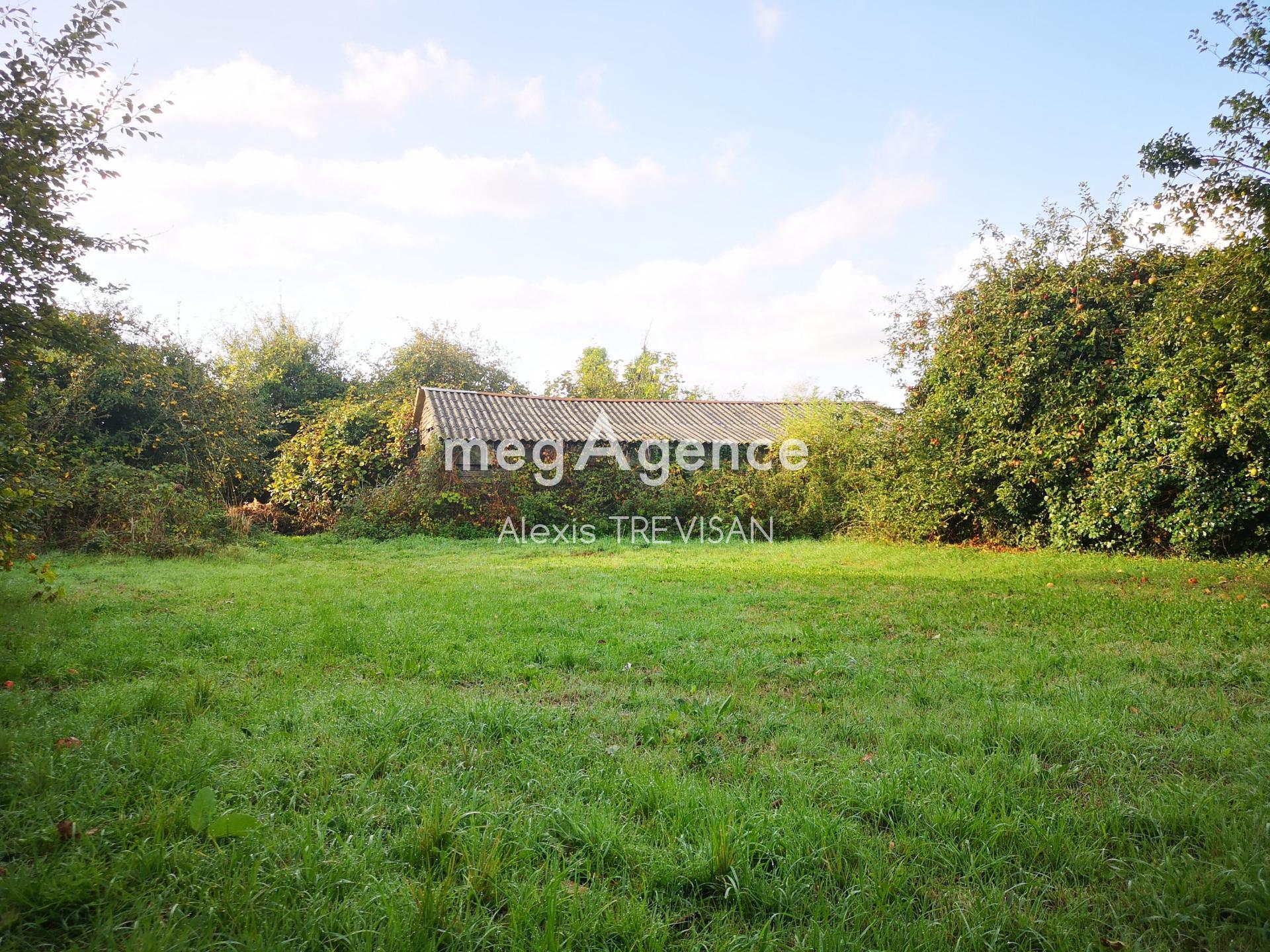 Miniature photo - 4 / 14