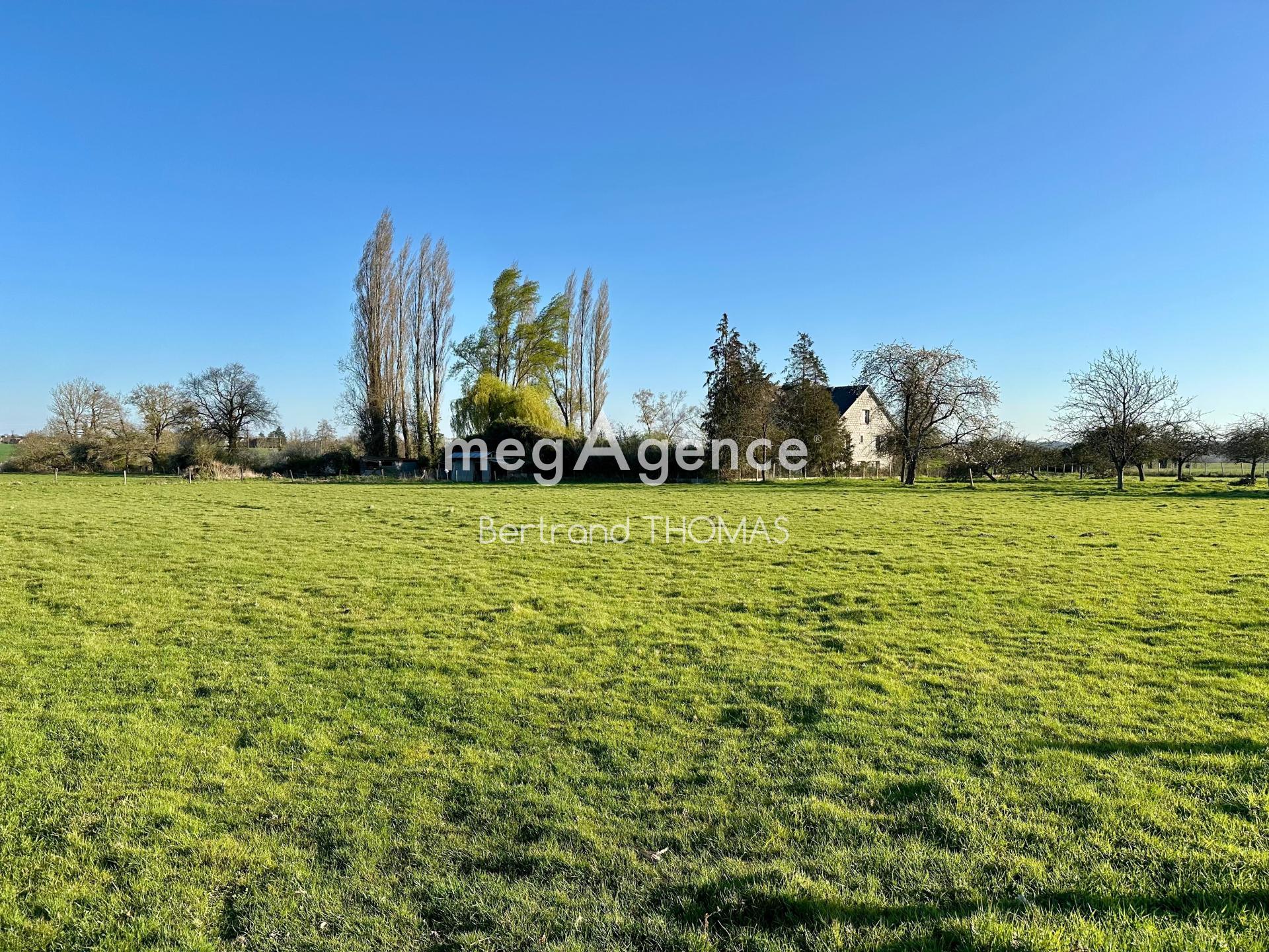 Miniature photo - 9 / 11