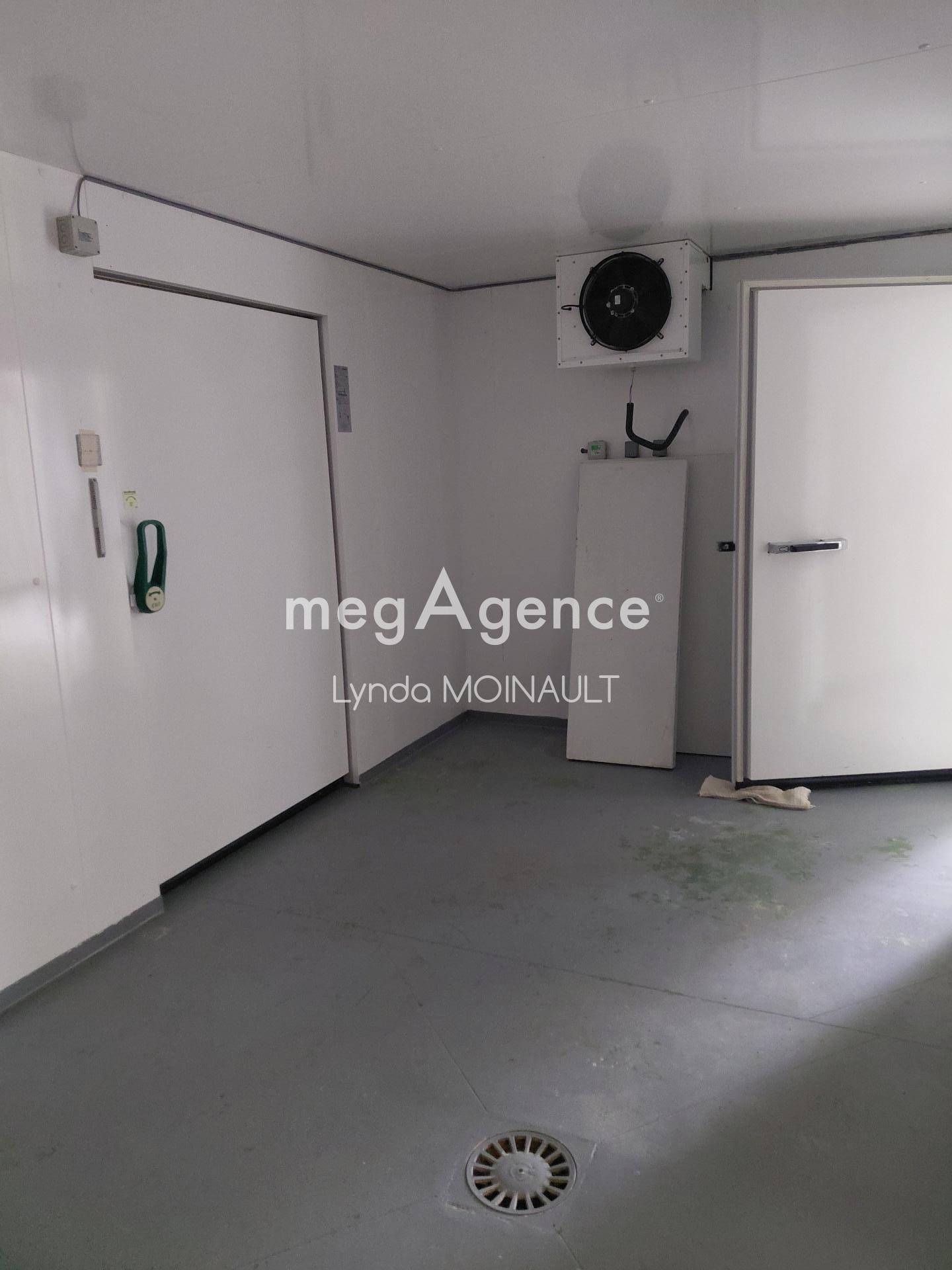 Miniature photo - 4 / 9