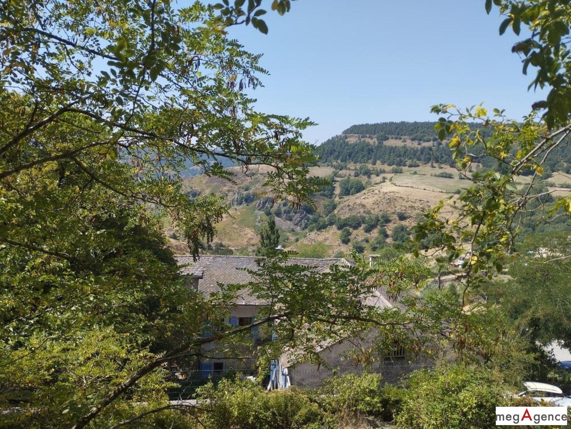 Miniature photo - 8 / 10