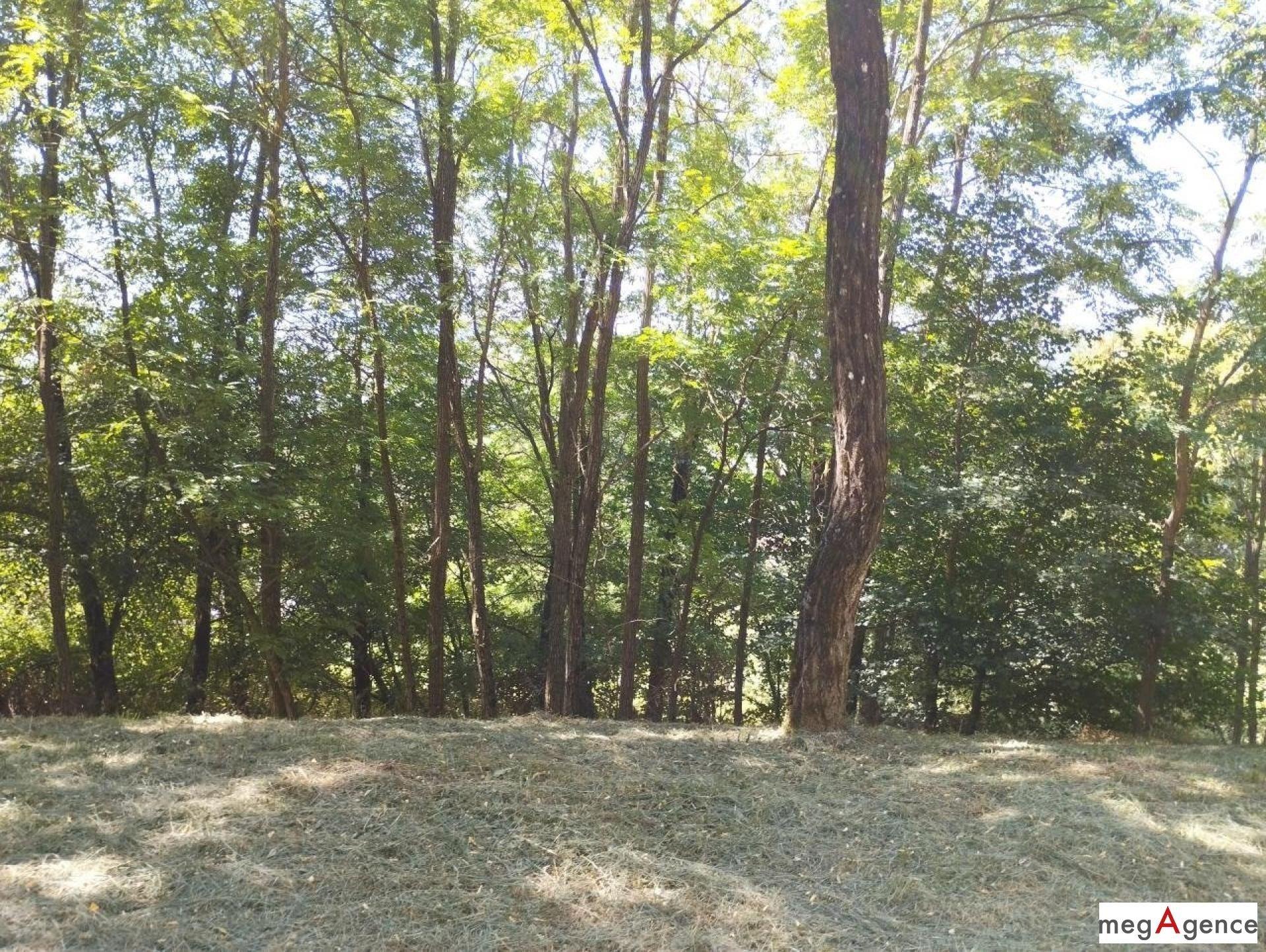 Miniature photo - 7 / 10