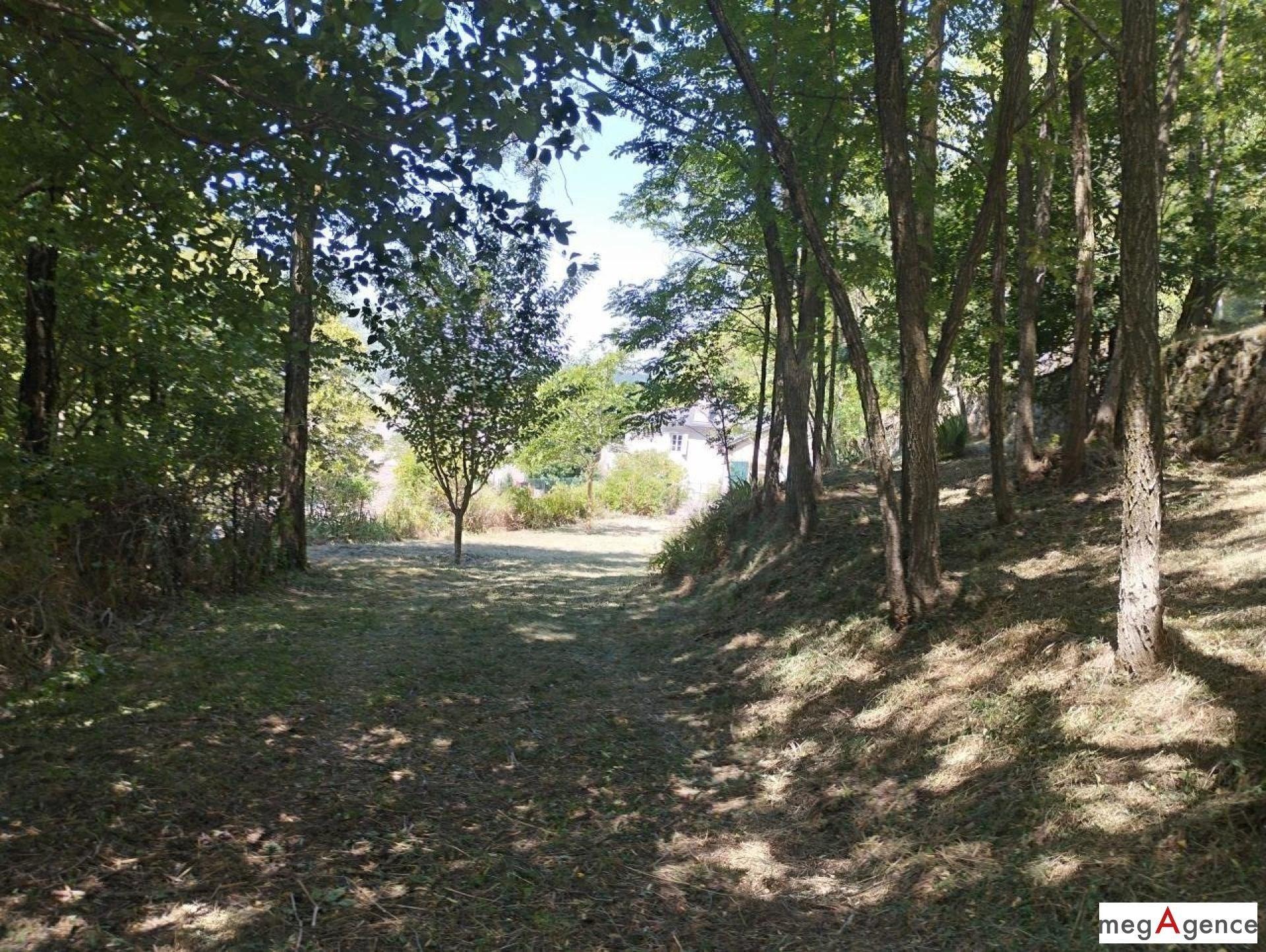 Miniature photo - 10 / 10