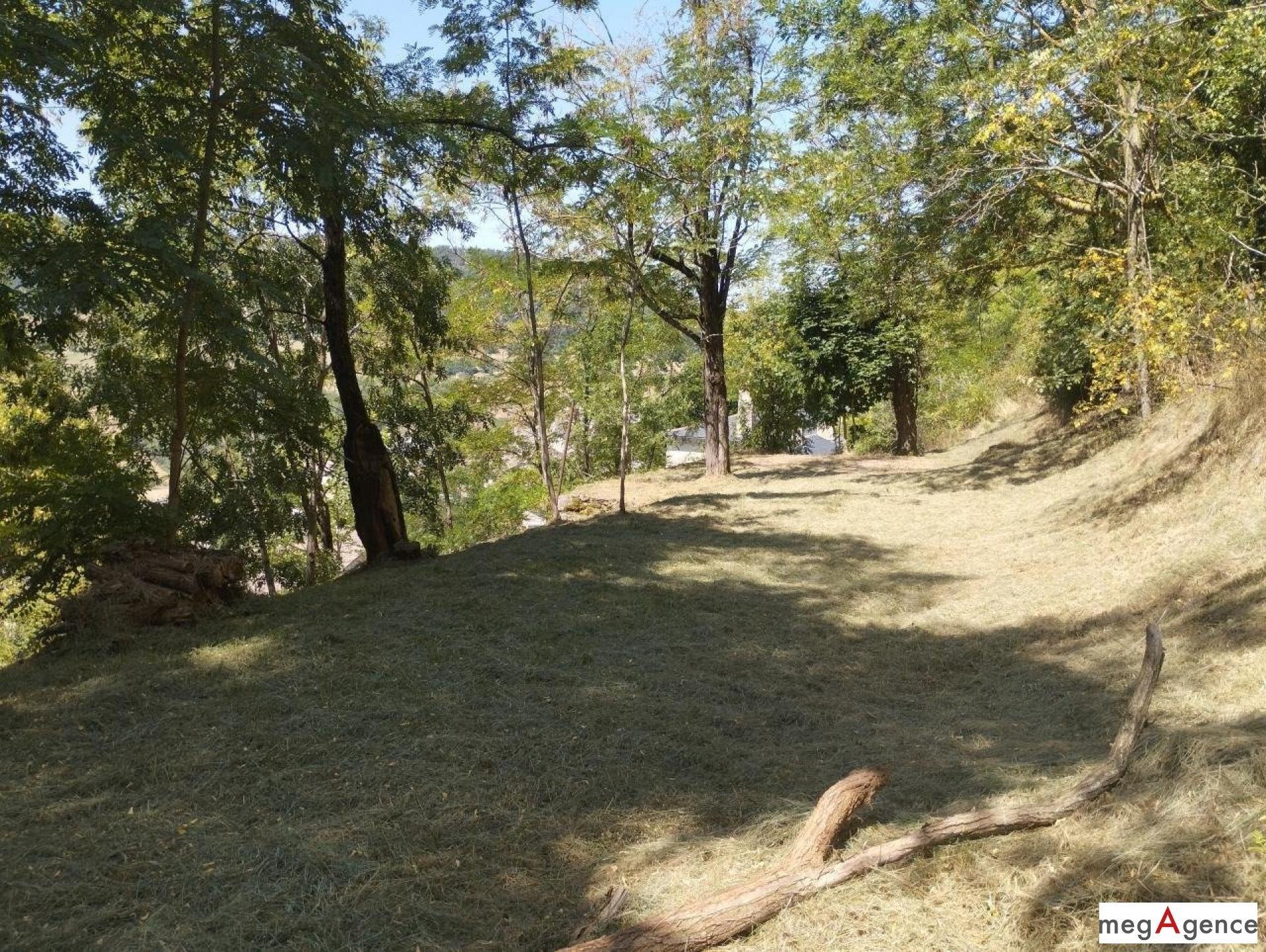 Miniature photo - 9 / 10