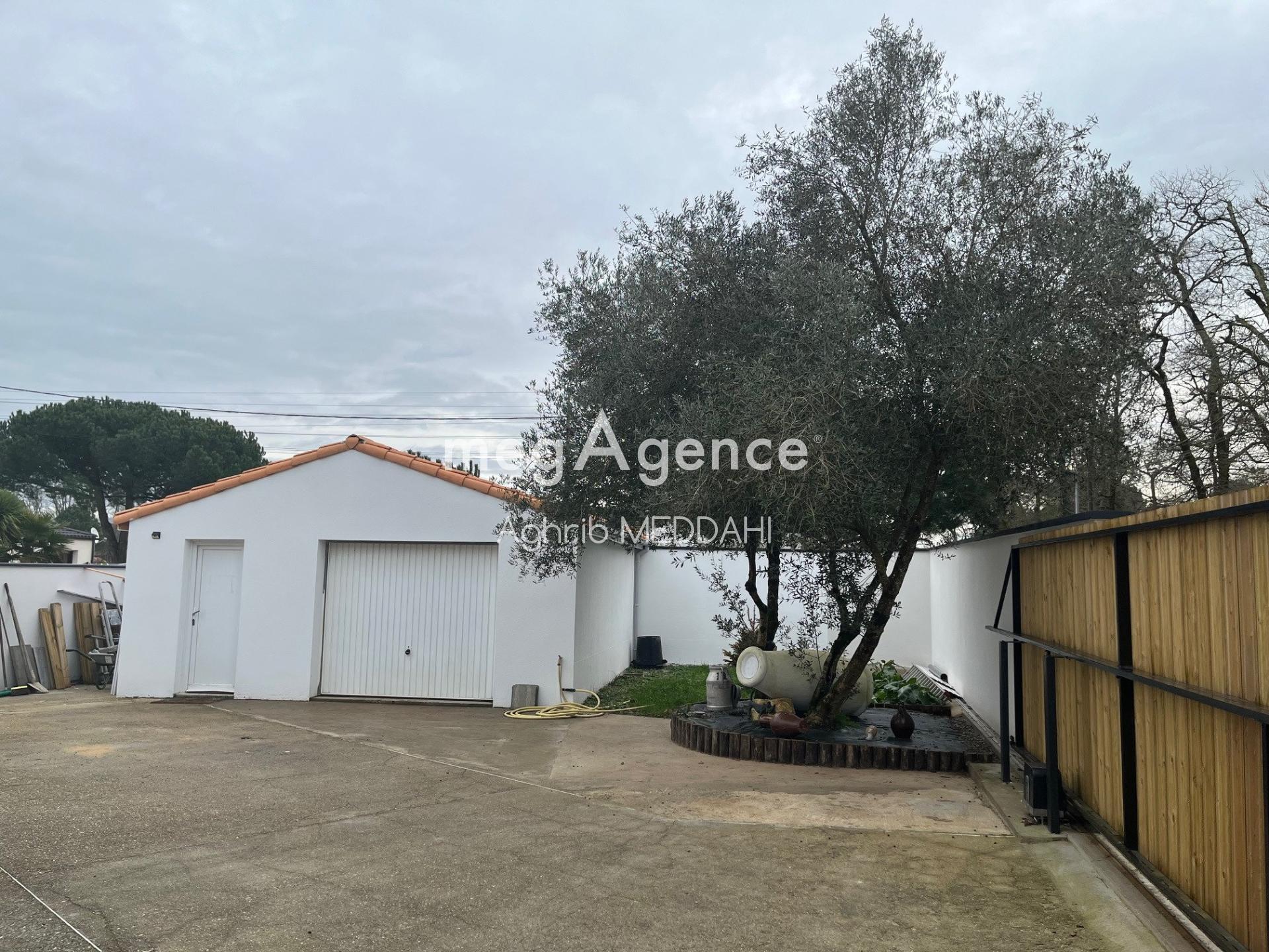 Miniature photo - 3 / 12