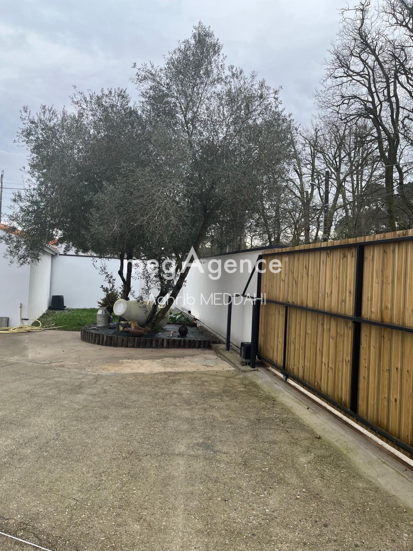 Miniature photo - 12 / 12