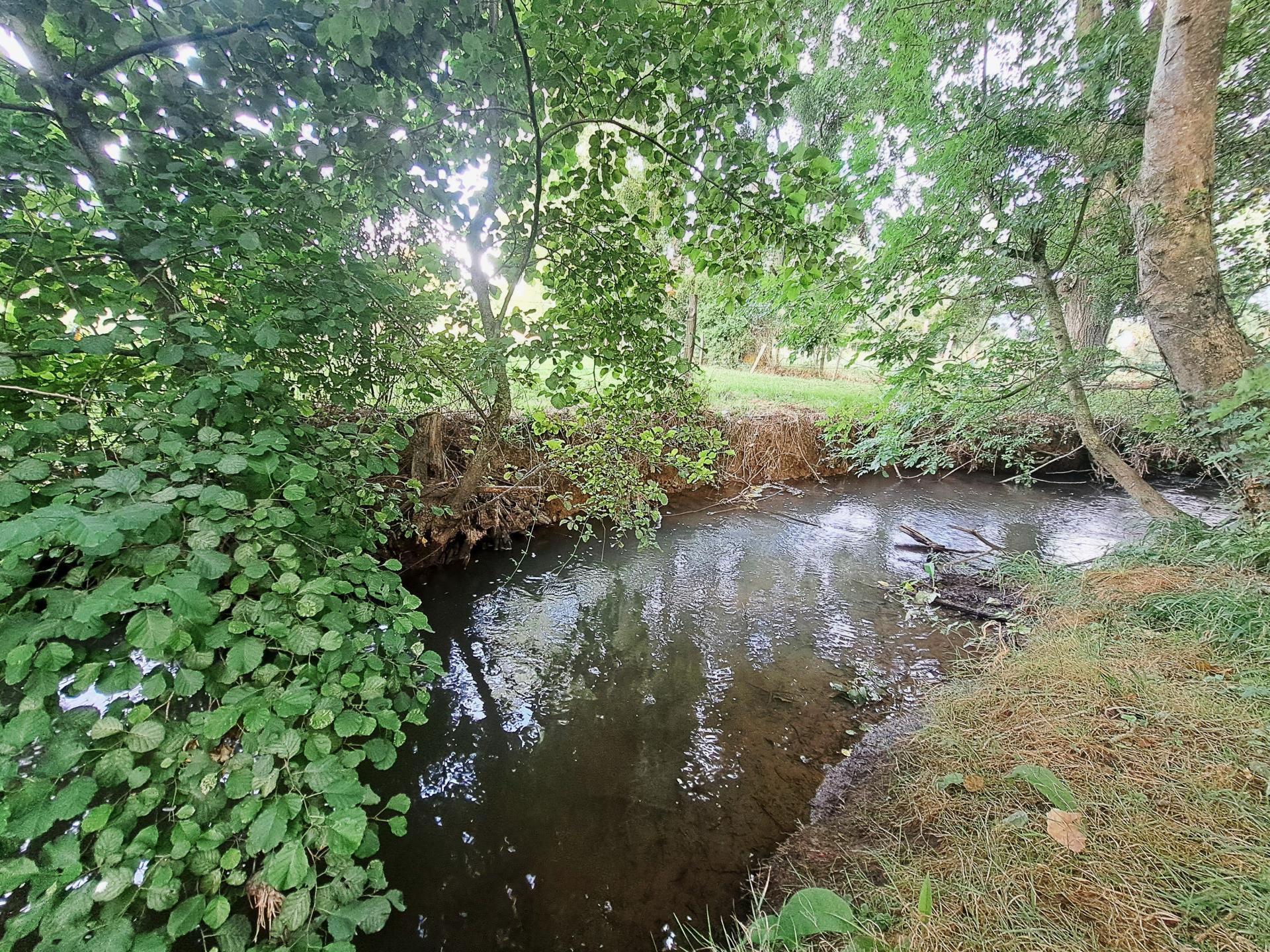 Miniature photo - 13 / 16