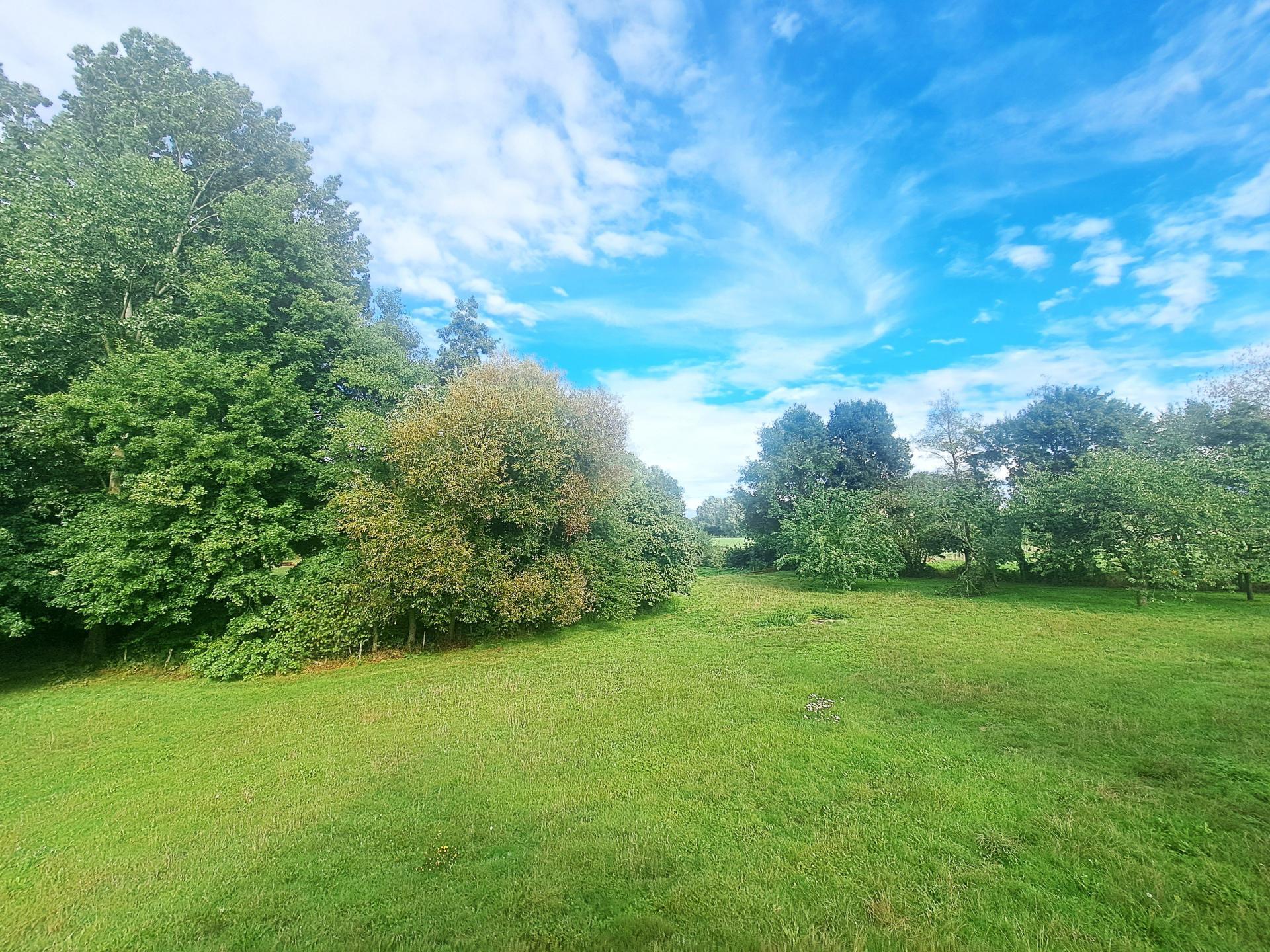 Miniature photo - 10 / 16