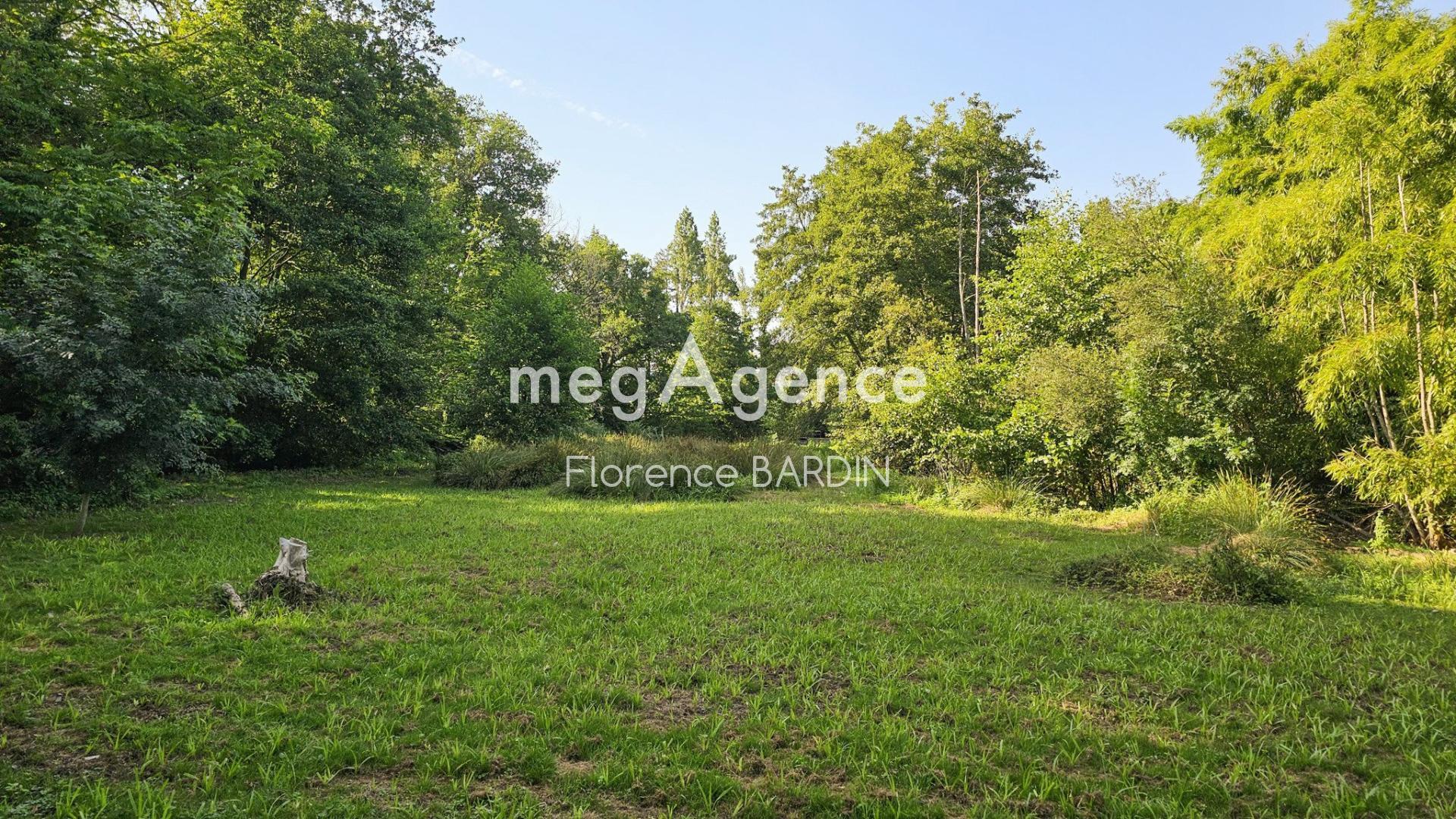 Miniature photo - 13 / 18