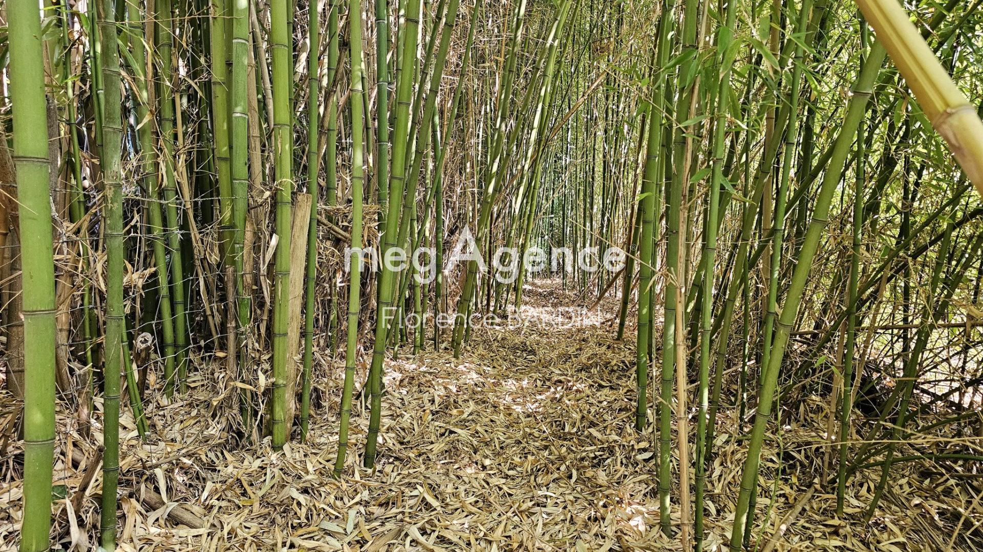 Miniature photo - 12 / 18