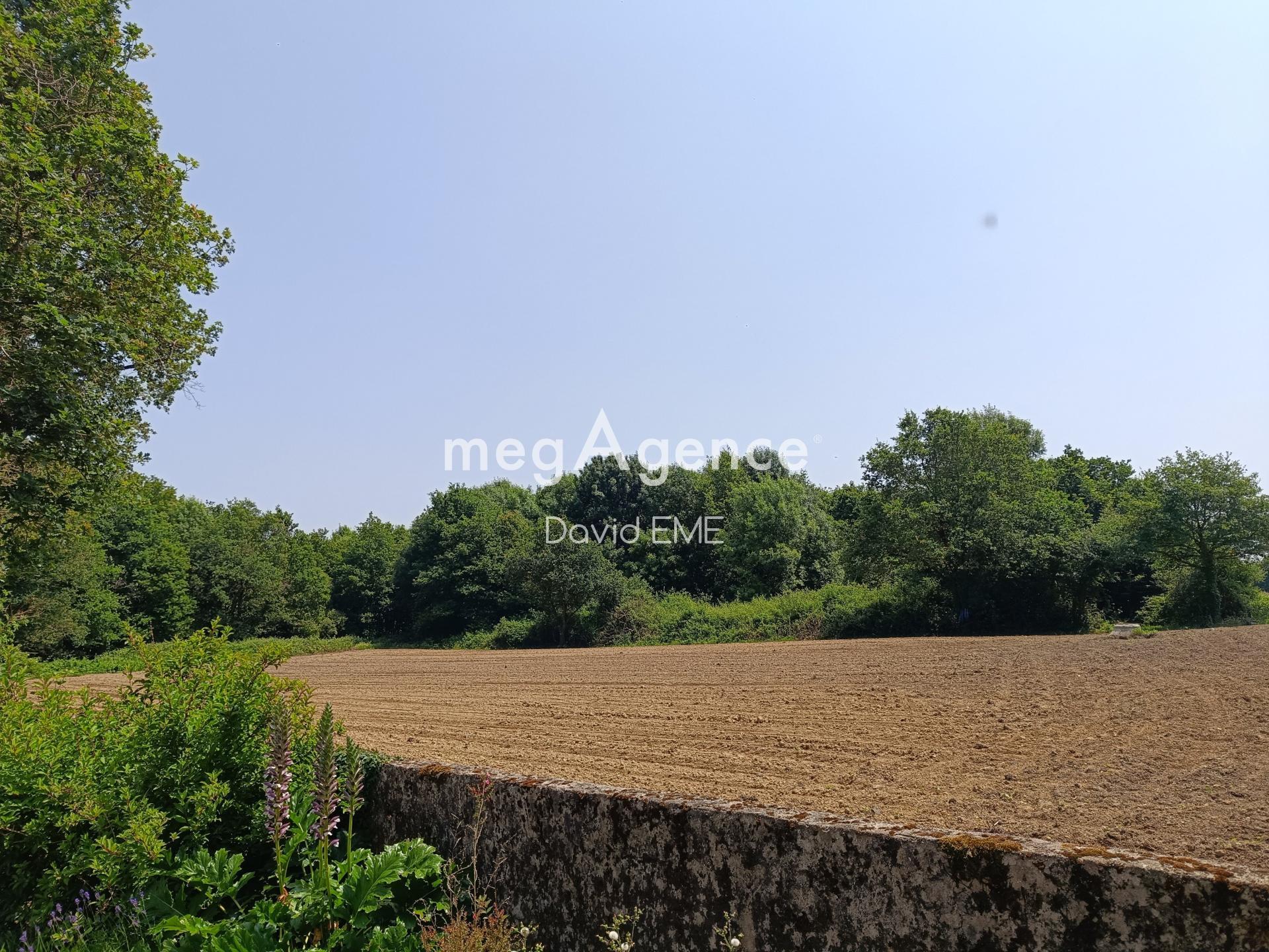 Miniature photo - 14 / 15