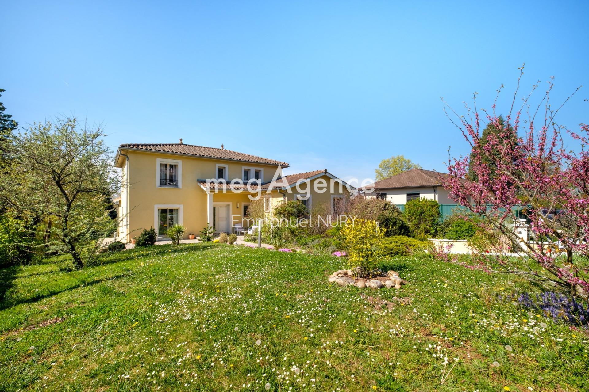 Miniature photo - 4 / 11